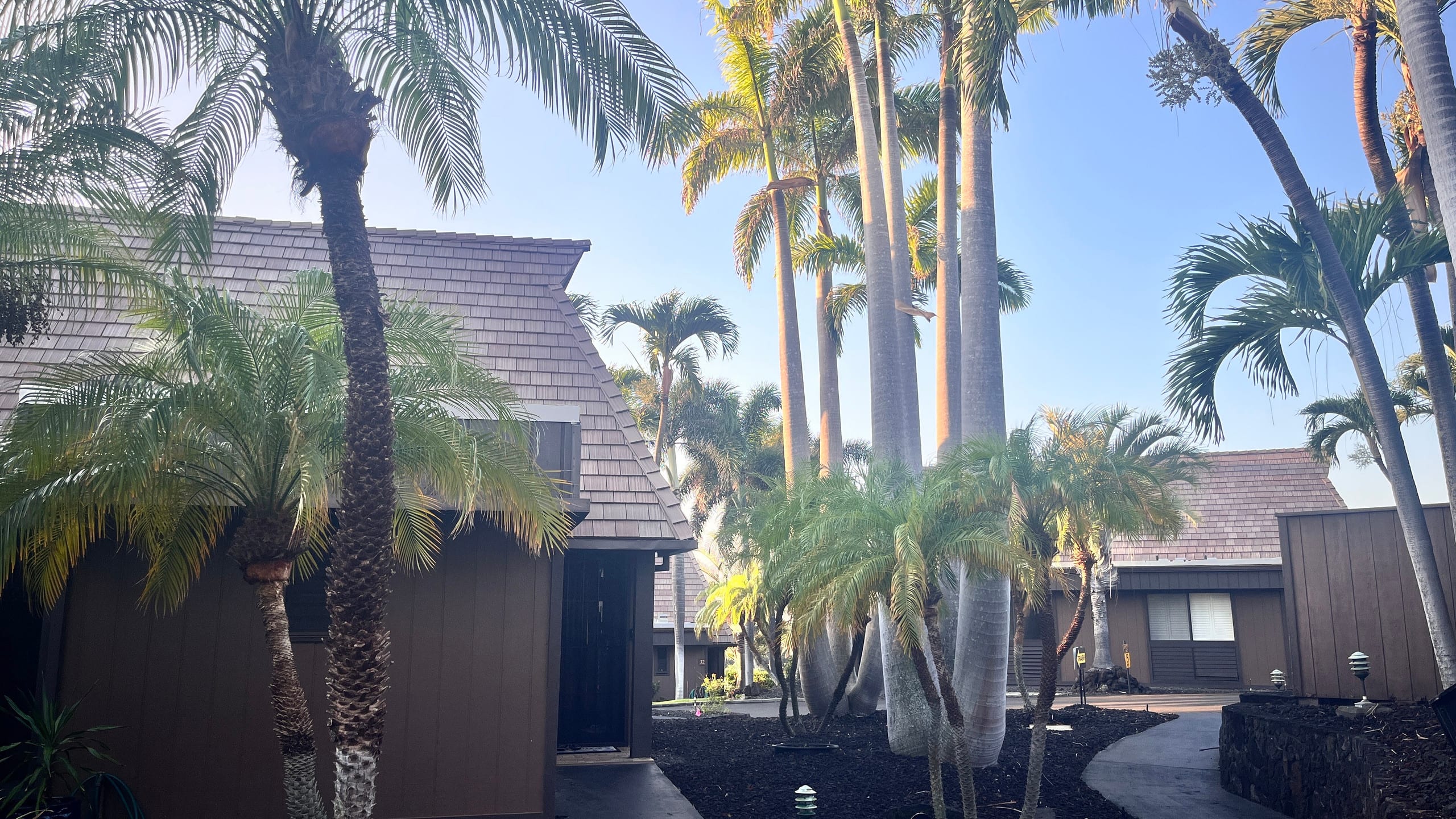 Condo in Naalehu · ★4.44 · Studio · 1 bed · 1 shared bath - Image 18