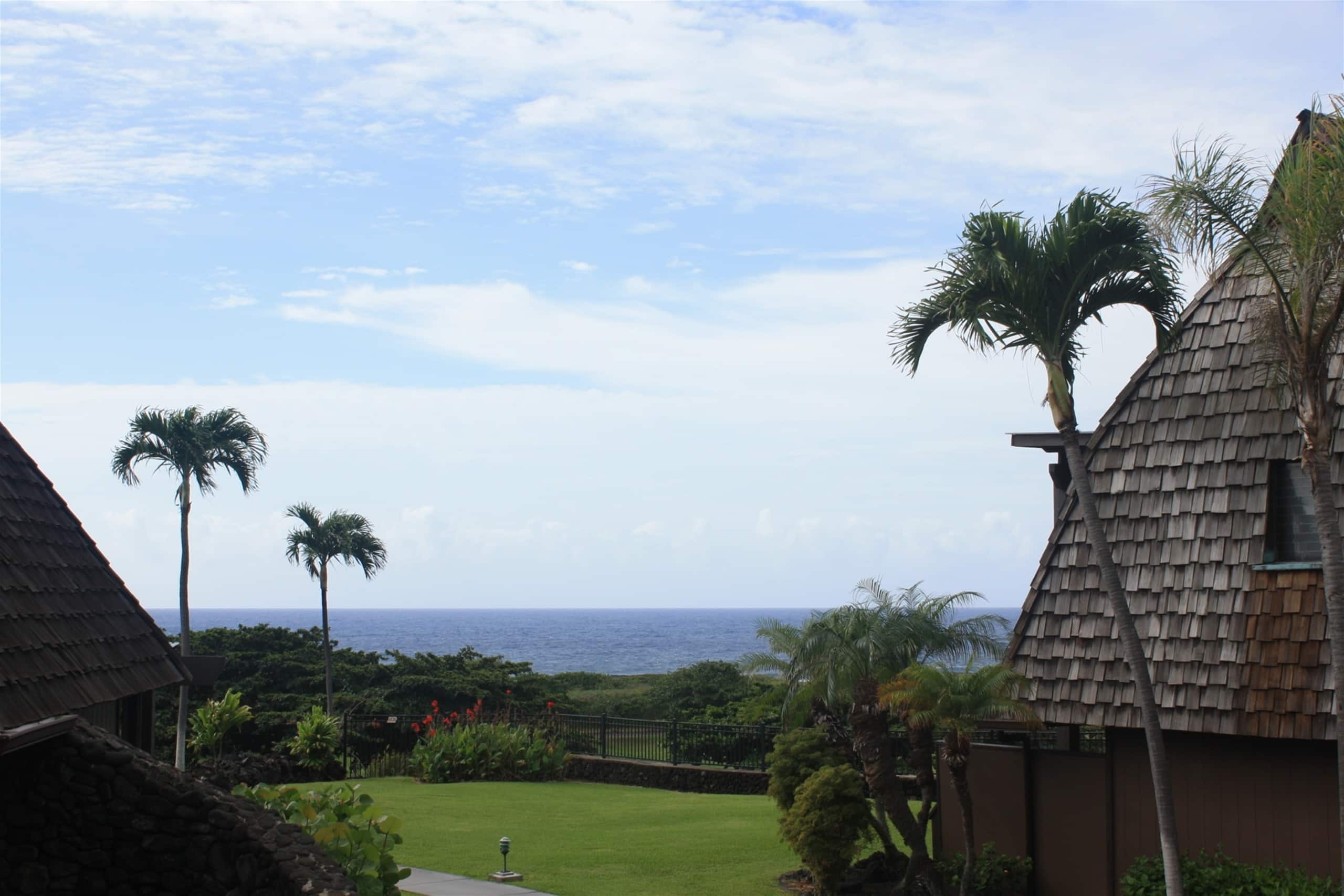 Condo in Naalehu · ★4.44 · Studio · 1 bed · 1 shared bath - Image 26