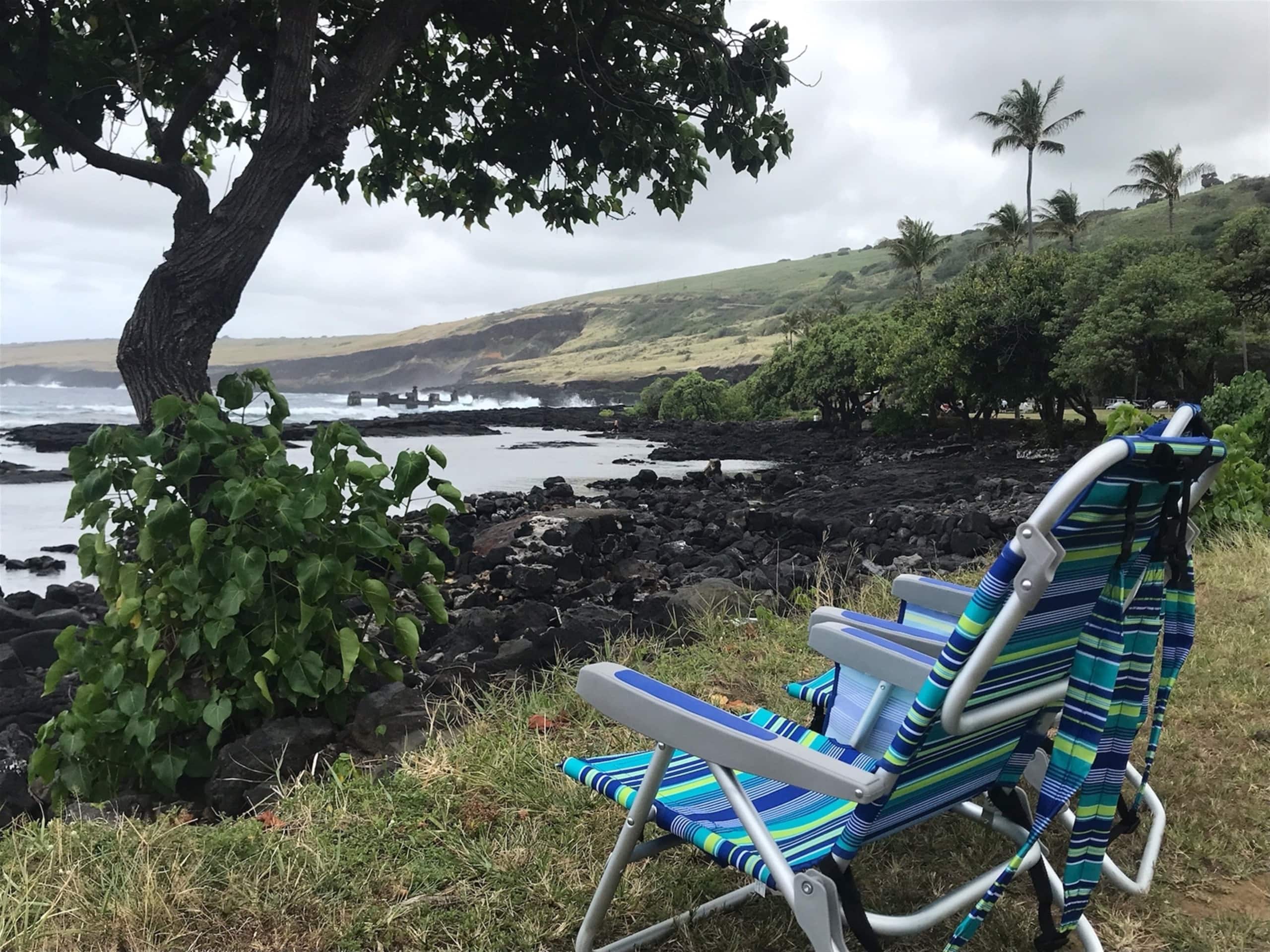 Condo in Naalehu · ★4.44 · Studio · 1 bed · 1 shared bath - Image 28