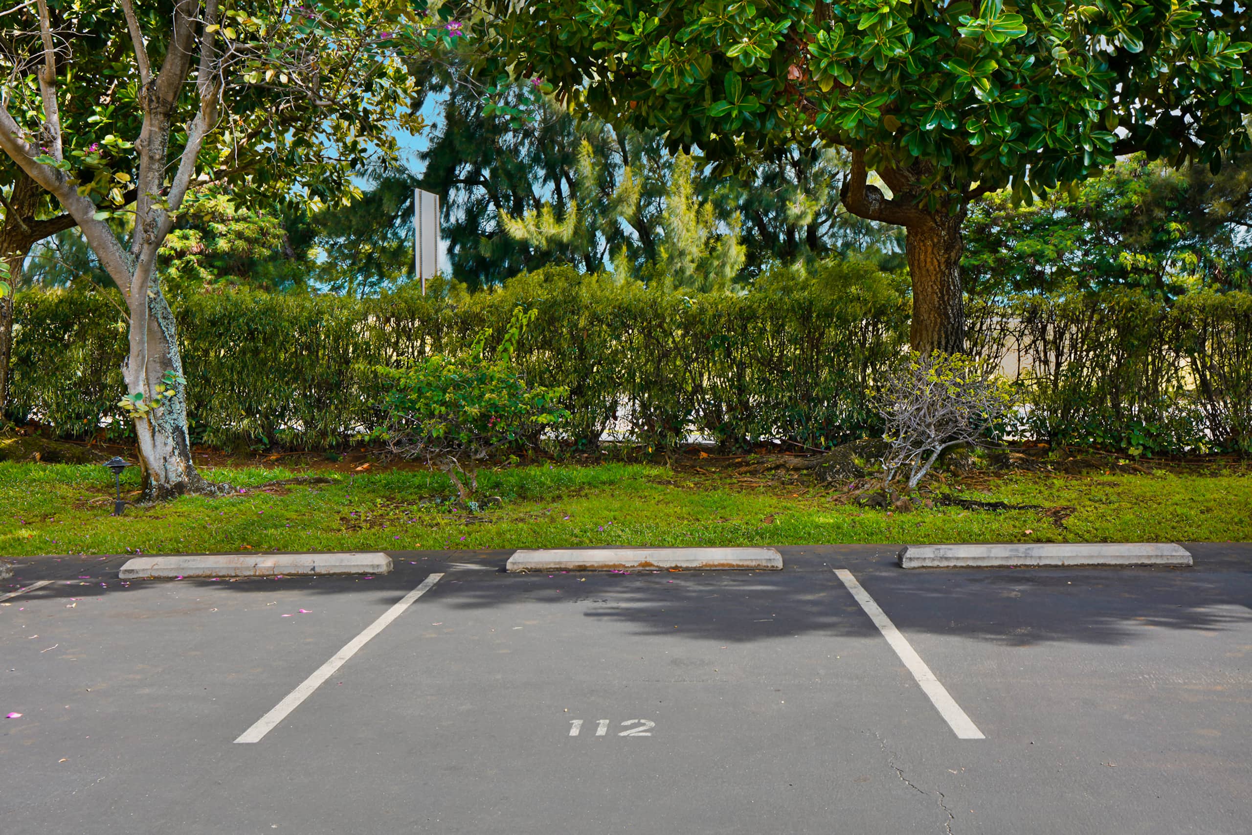 Condo in Koloa · ★4.53 · 1 bedroom · 1 bed · 1 bath - Image 17