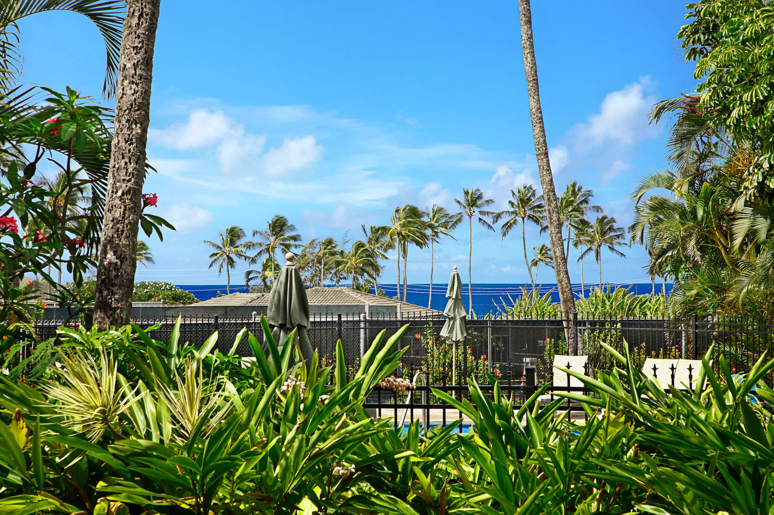 Condo in Koloa · ★4.53 · 1 bedroom · 1 bed · 1 bath - Image 14