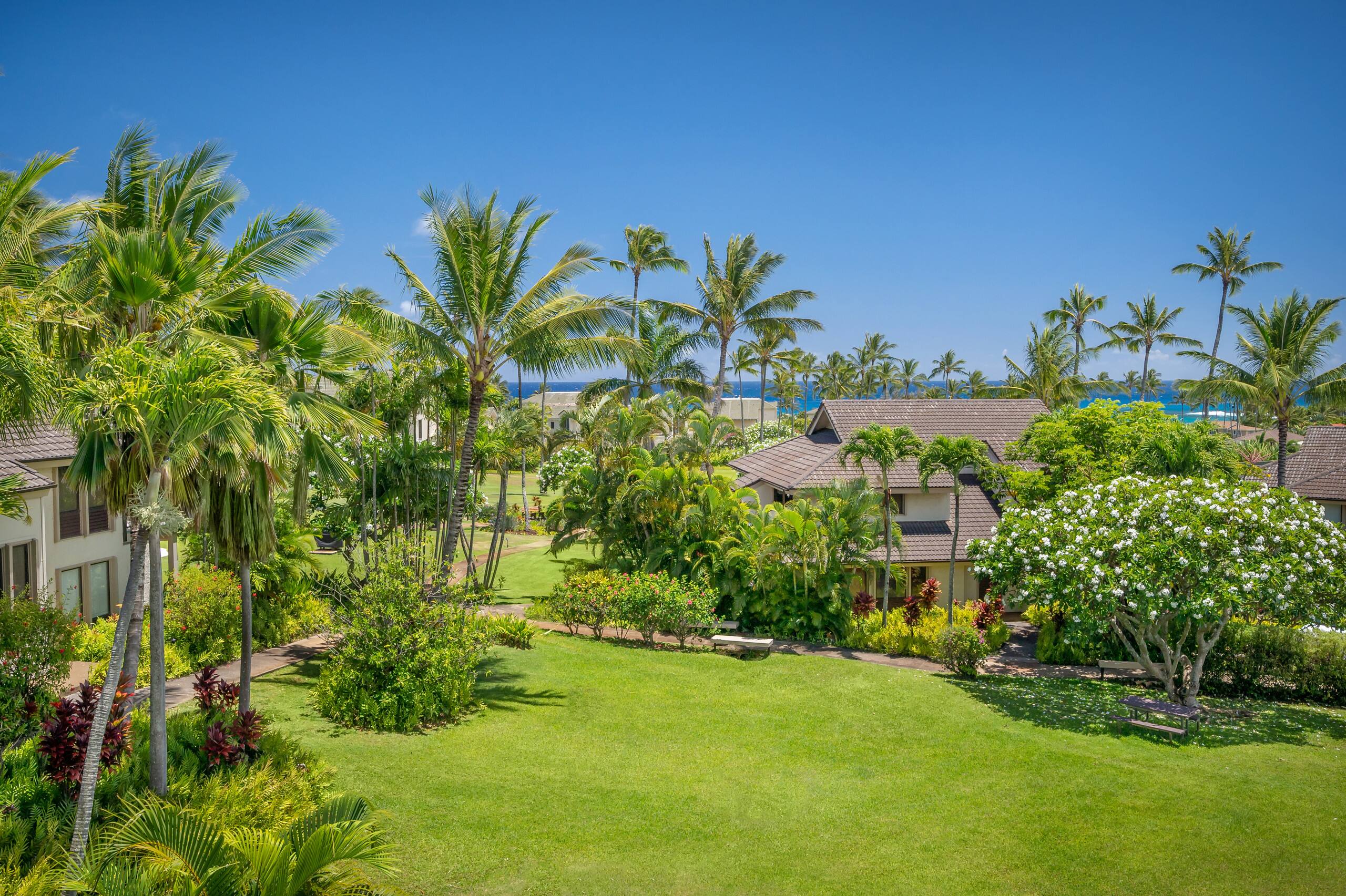 Condo in Koloa · ★4.53 · 1 bedroom · 1 bed · 1 bath - Image 5