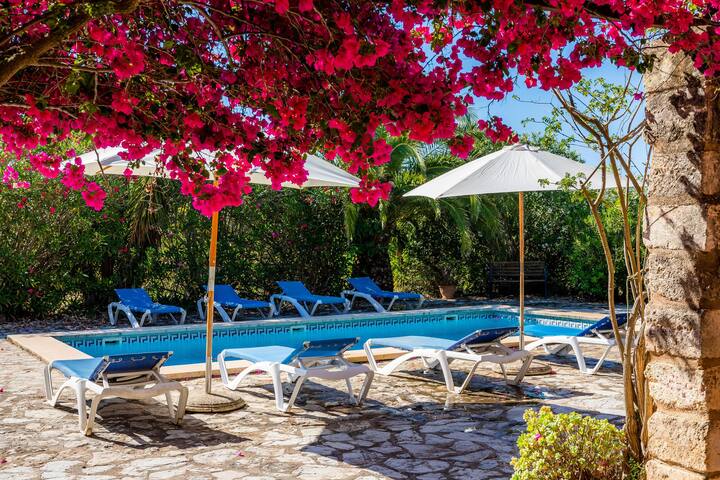 Finca Son Pi gallery image 3