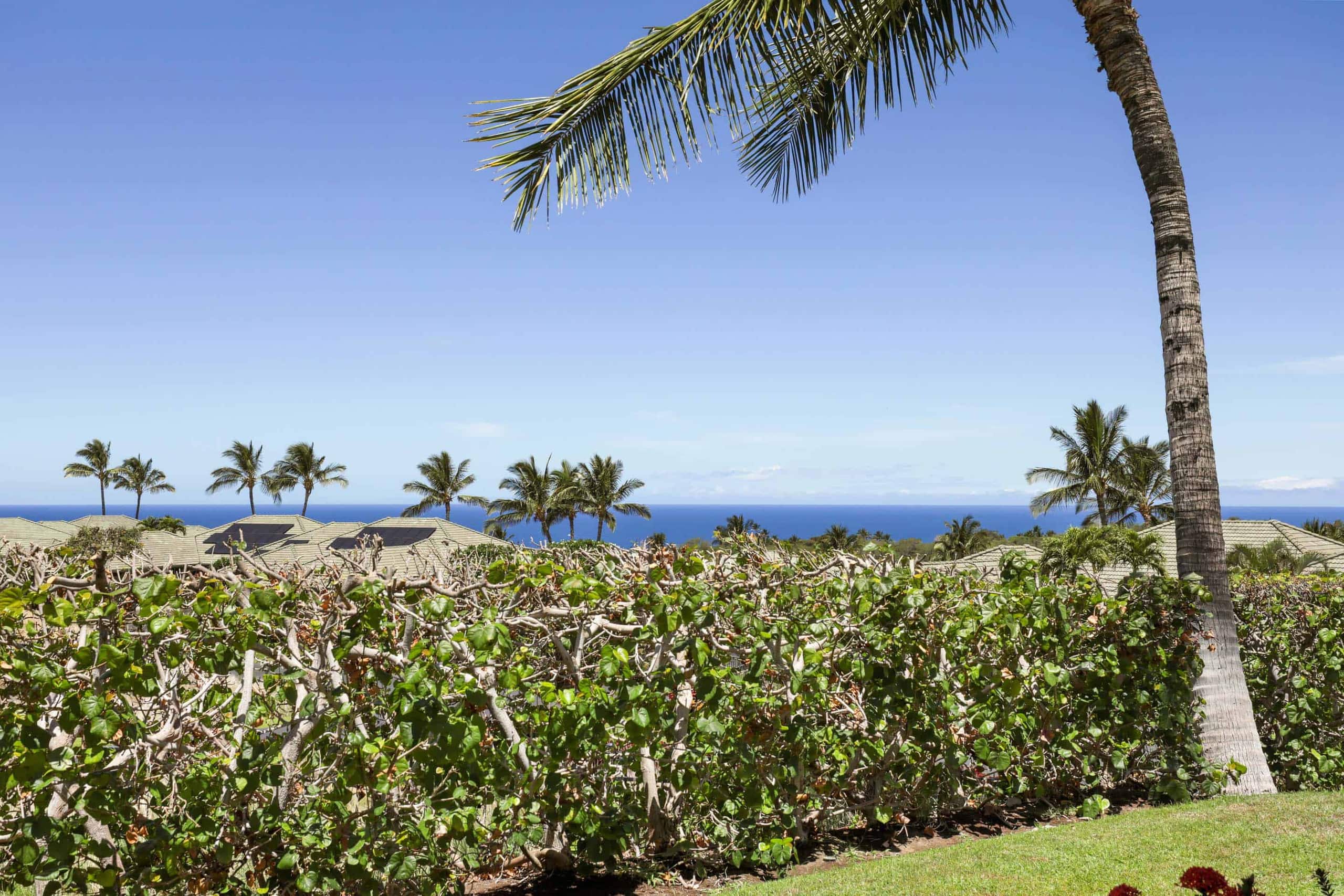 Home in Waimea · ★5.0 · 3 bedrooms · 4 beds · 3.5 baths - Image 40