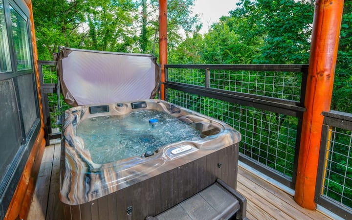 『ジョン・ディクスン・カー　cabin B-13　研究』CD２枚付き Zipadee Dipadee View・Pool・Theater・GameRoom・Hot Tub - Cabins