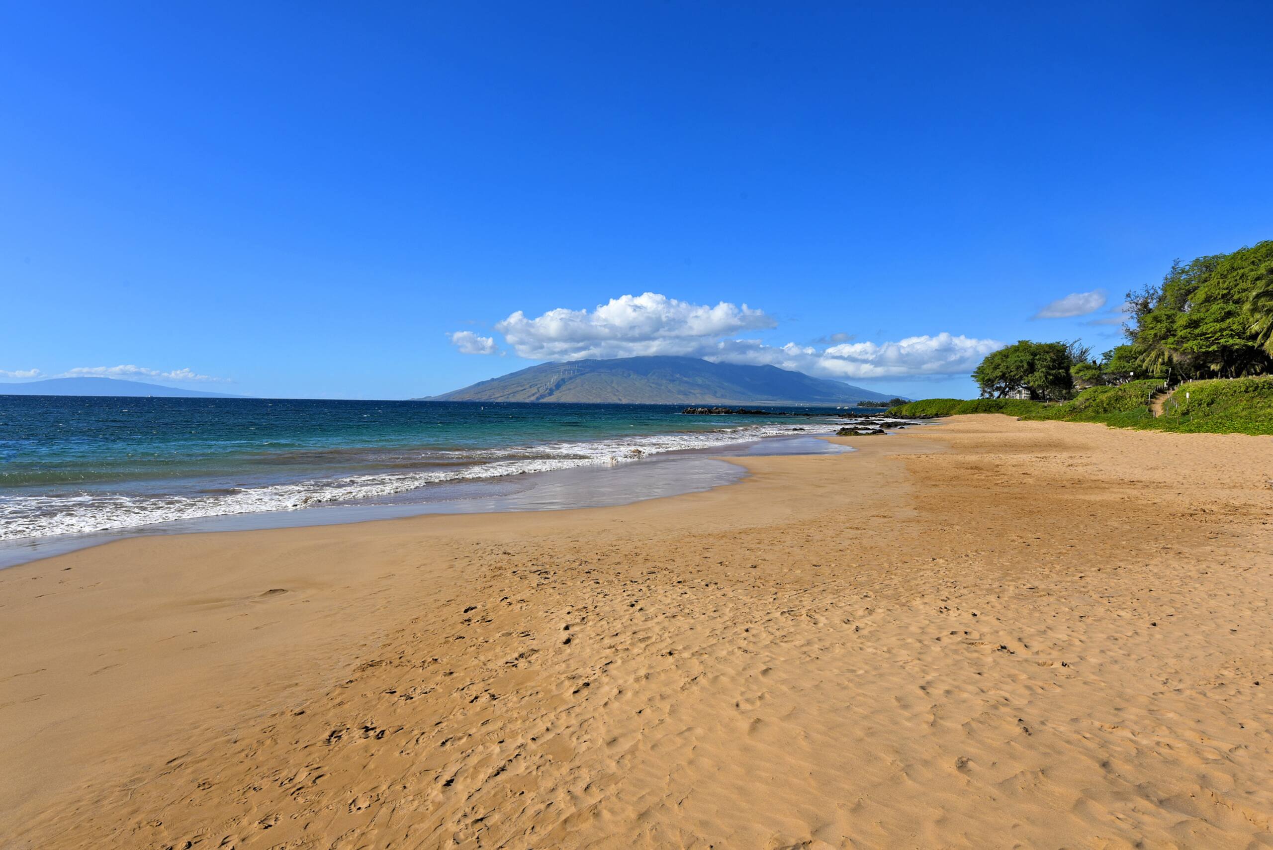 Condo in Kihei · ★4.45 · 2 bedrooms · 4 beds · 2 baths - Image 51