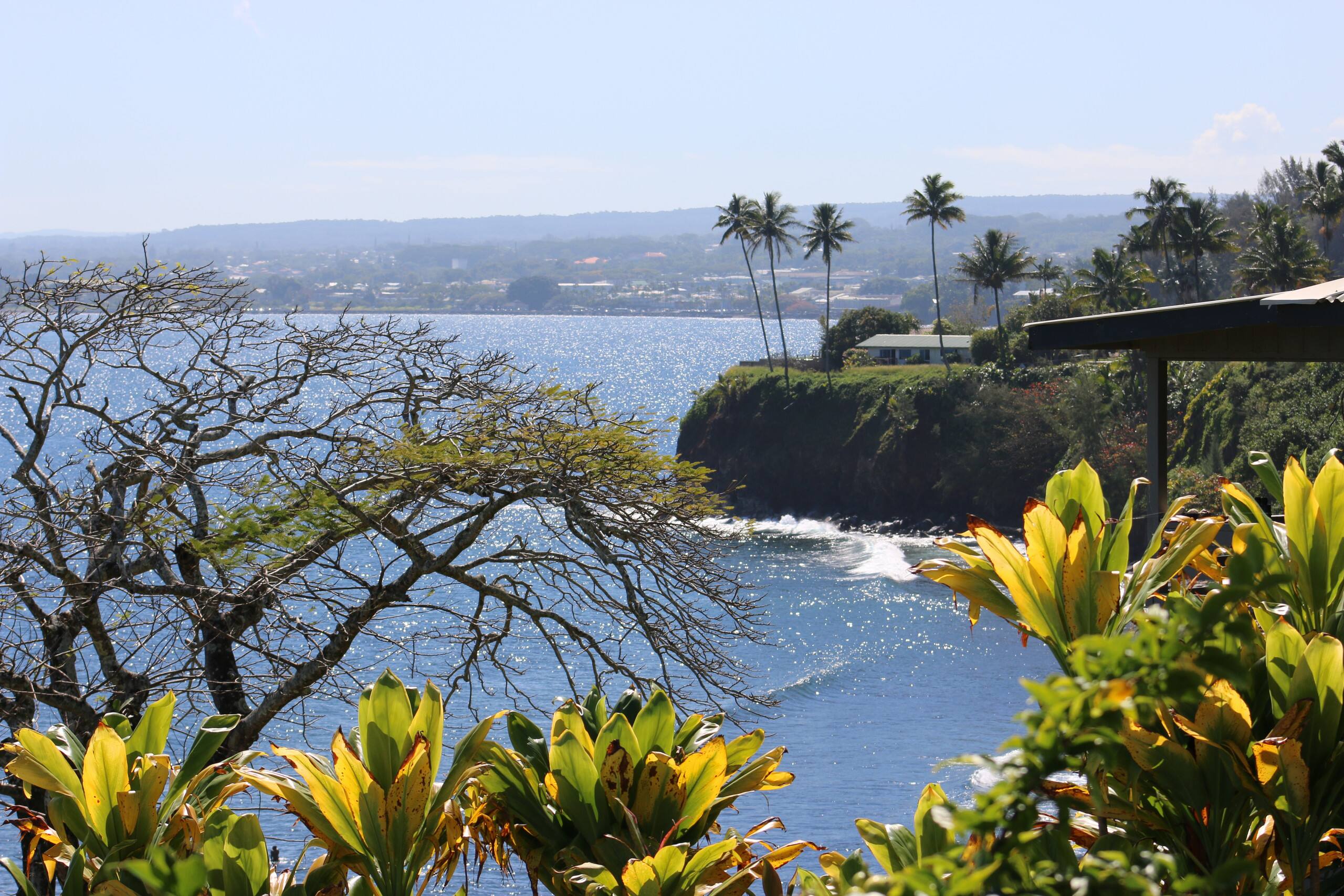 Hale Kai Pele Suite Hilo Oceanfront w/Pool - Image 14