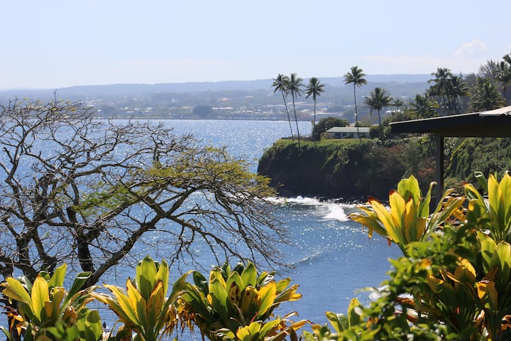 Hale Kai Bamboo Room Hilo Oceanfront w/Pool - Apartments for Rent