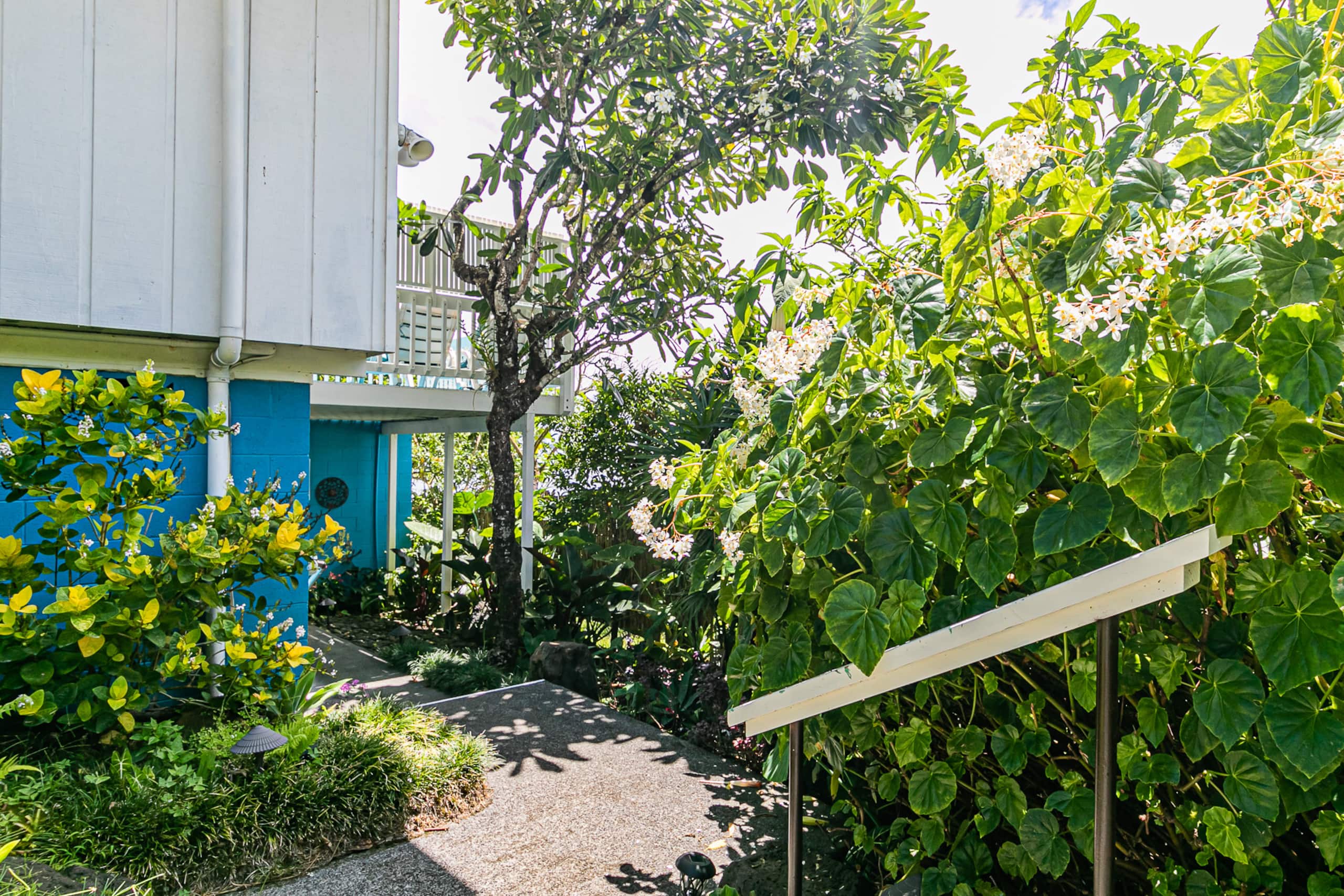 Hale Kai Bamboo Room Hilo Oceanfront w/Pool - Image 14