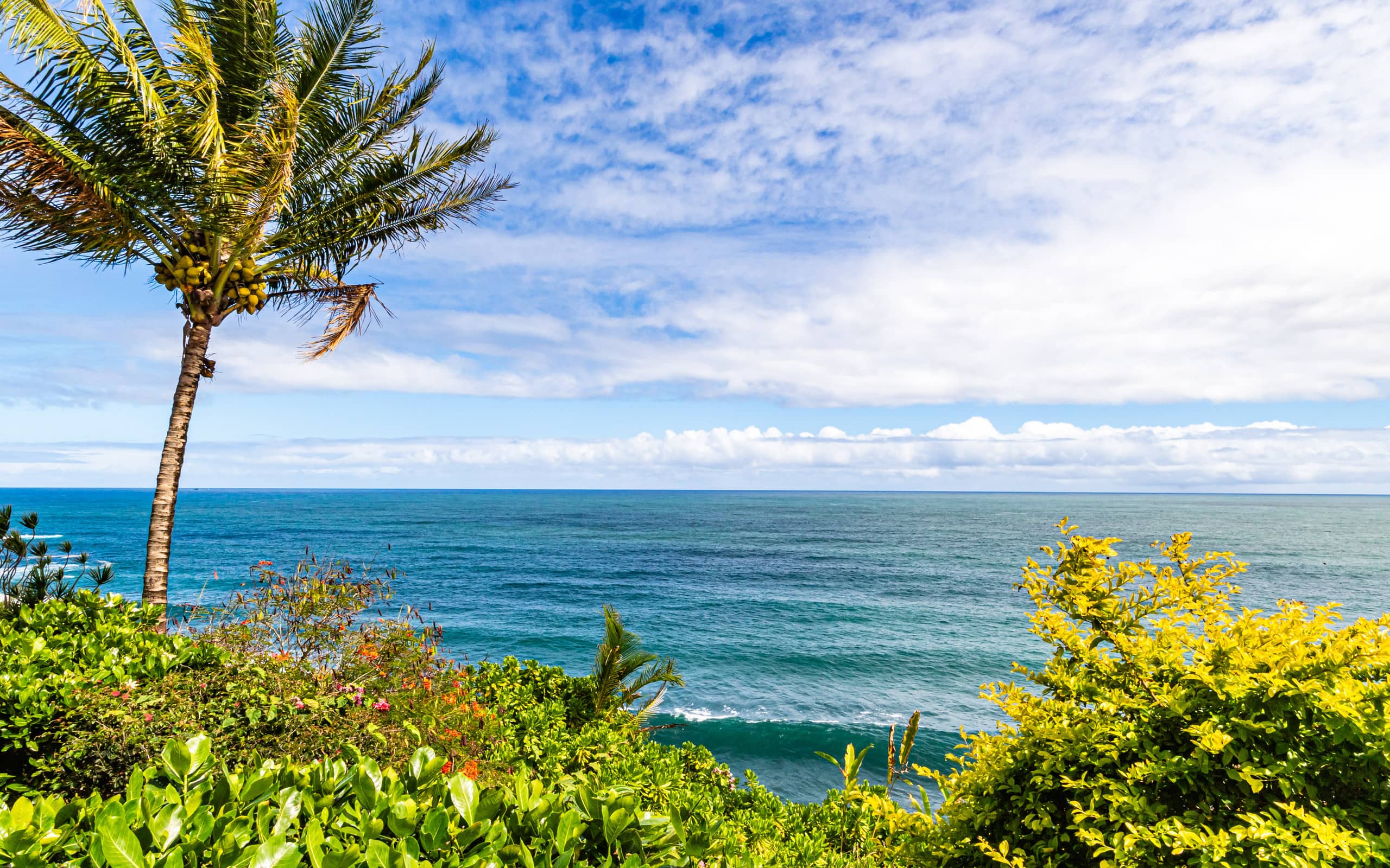 Hale Kai Heritage Room Hilo Oceanfront w/Pool - Image 16