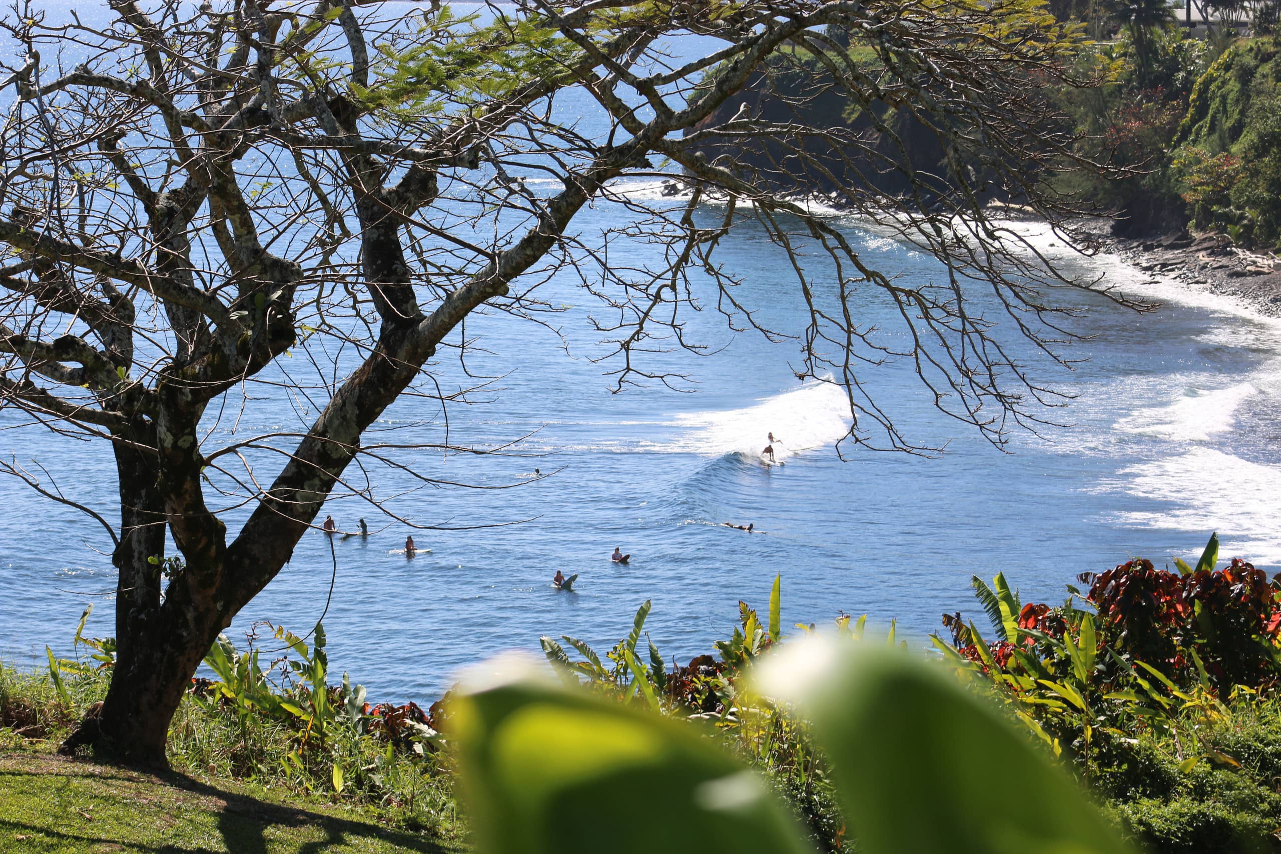 Hale Kai Heritage Room Hilo Oceanfront w/Pool - Image 13