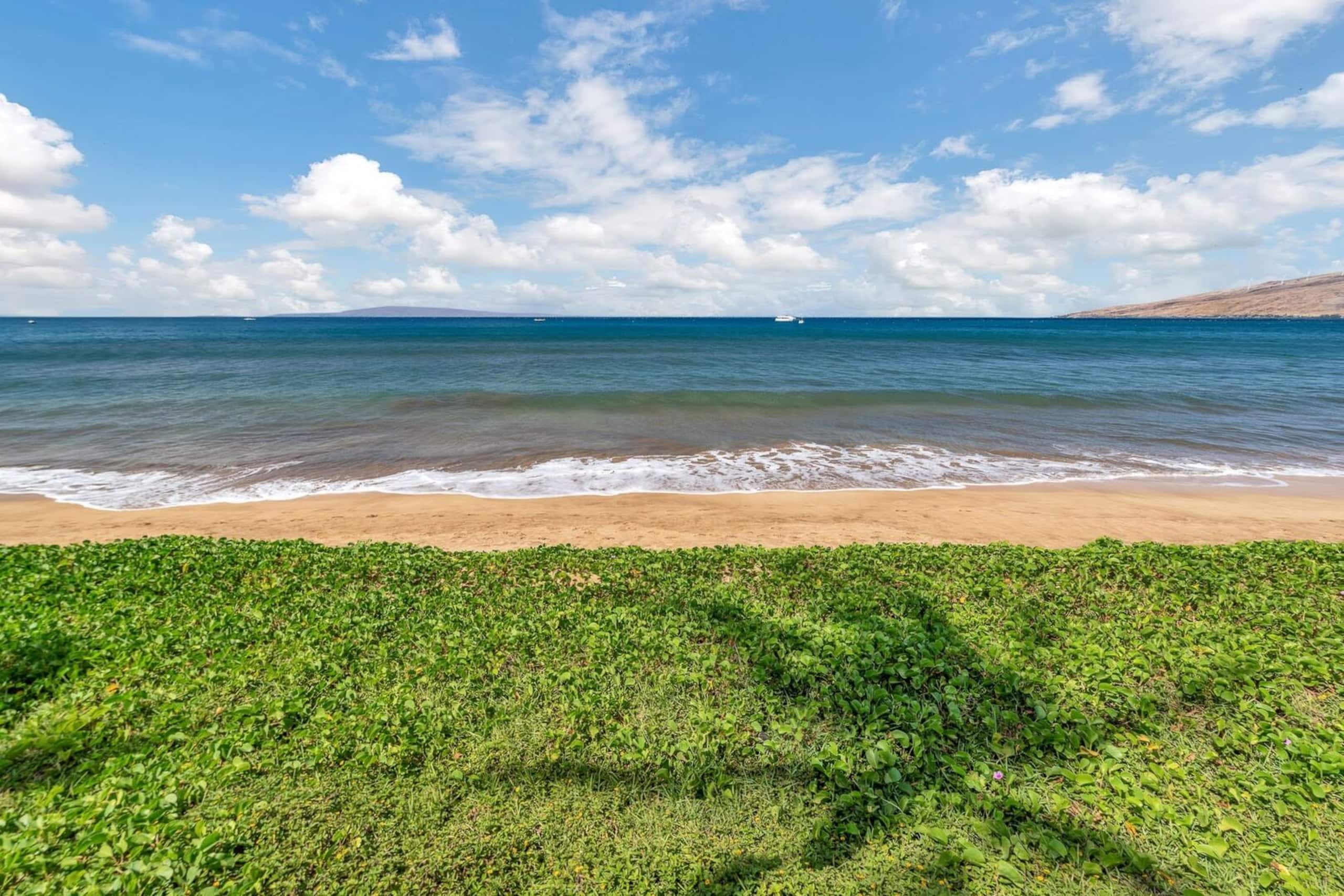 Condo in Kihei · ★4.62 · 1 bedroom · 2 beds · 1 bath - Image 38
