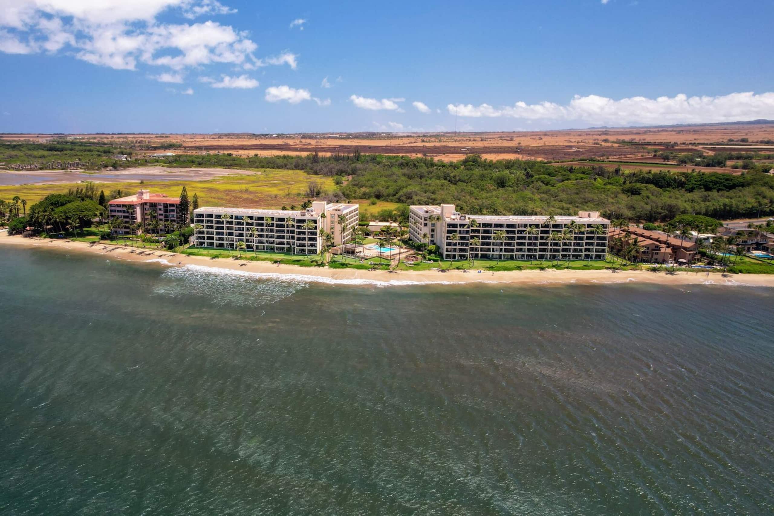 Condo in Kihei · ★4.62 · 1 bedroom · 2 beds · 1 bath - Image 41