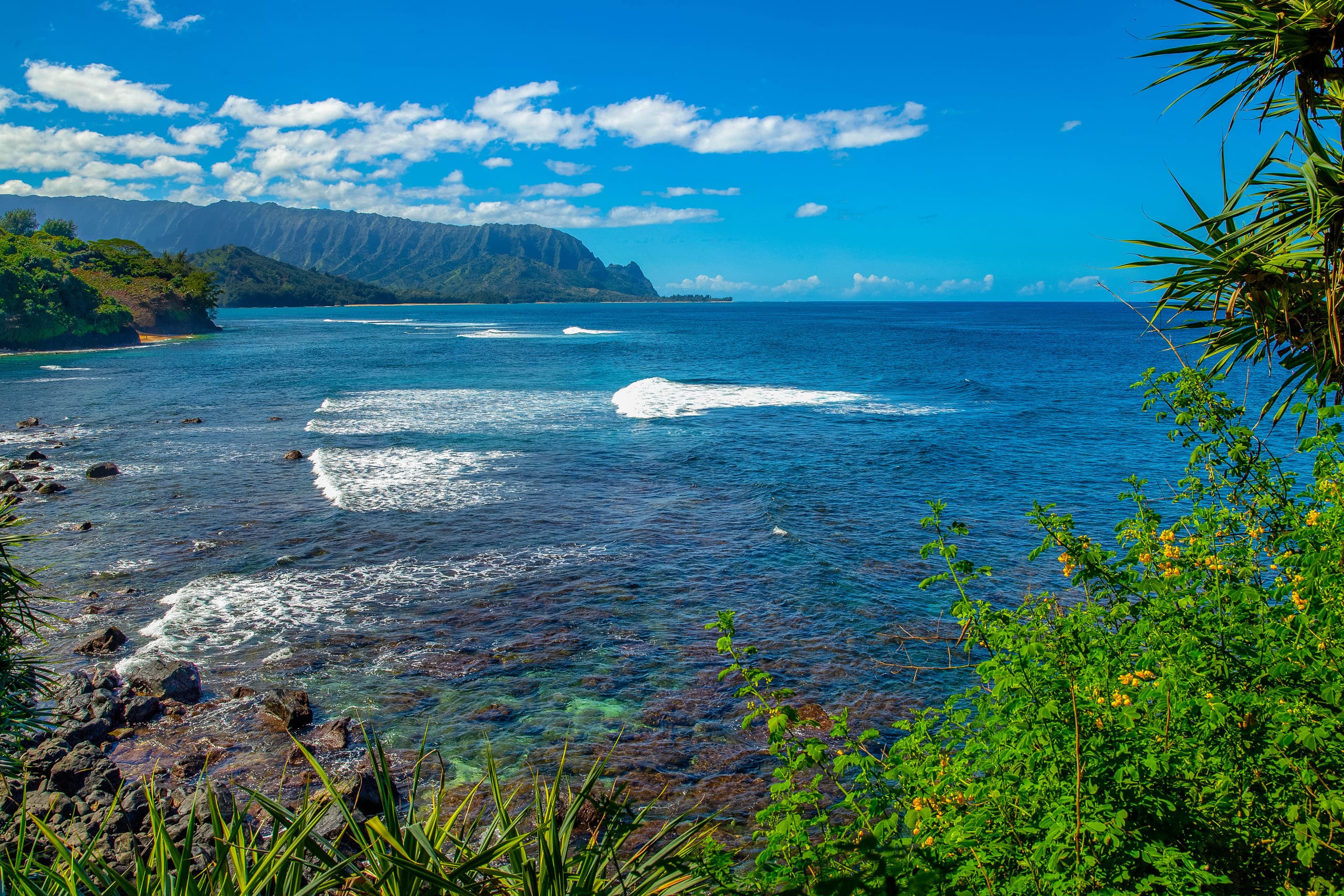 Condo in Princeville · ★4.96 · 2 bedrooms · 4 beds · 2 baths - Image 26
