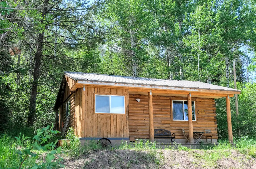 A rustic wooden cabin, nestled among lush greenery, is showcased from a slight distance. The structure features a pitched roof and large front windows, providing natural light. A small porch with seating invites relaxation in the serene forest setting.