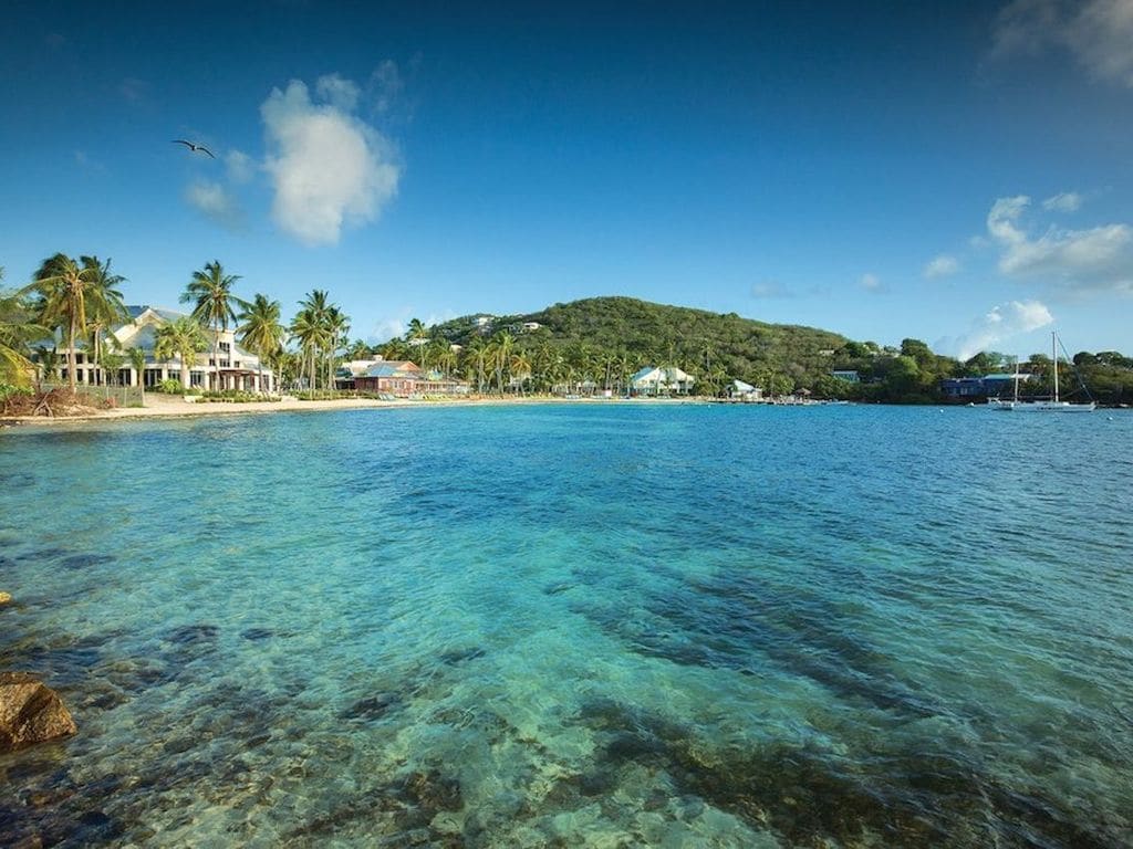A clear view of the tranquil ocean waters reflects the vibrant blue sky above. Lush palm trees line the shore, indicating a tropical atmosphere. The distant hillside is dotted with colorful structures, creating a serene coastal landscape.