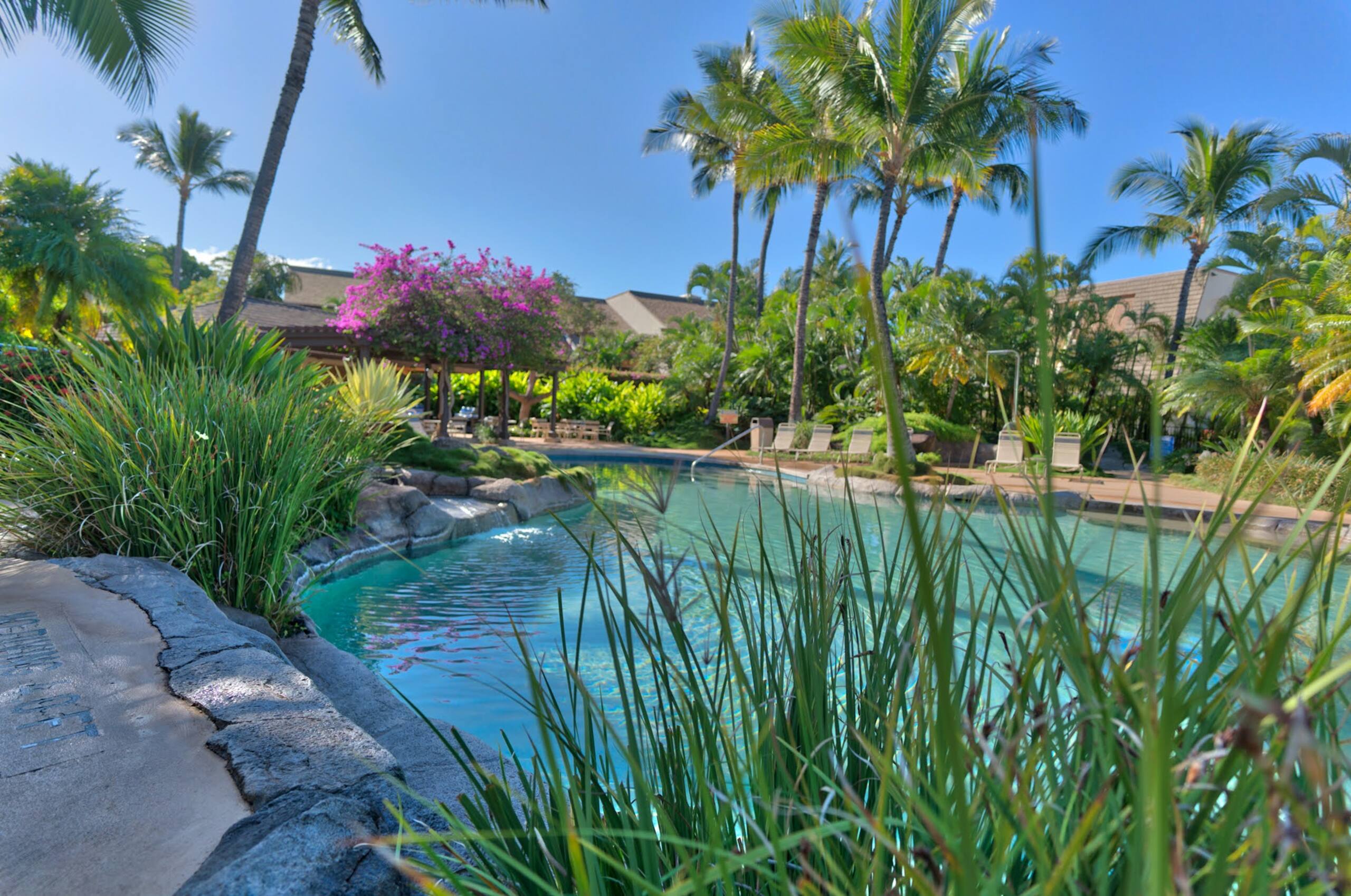 Condo in Kihei · ★5.0 · 1 bedroom · 1 bed · 2 baths - Image 47