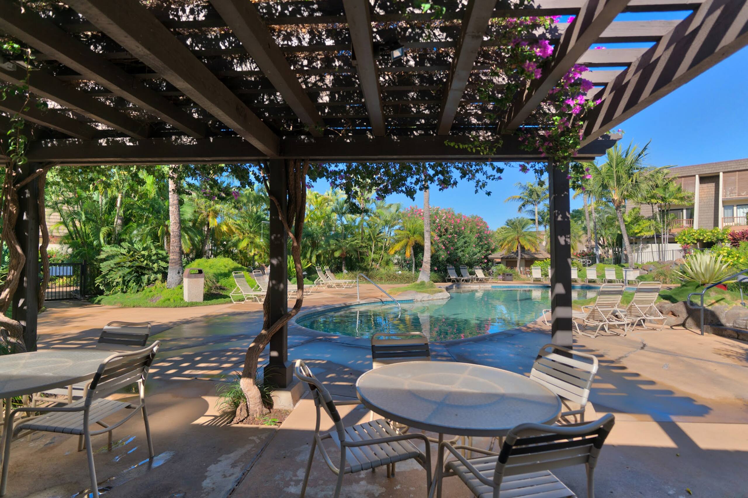 Condo in Kihei · ★5.0 · 1 bedroom · 1 bed · 2 baths - Image 56