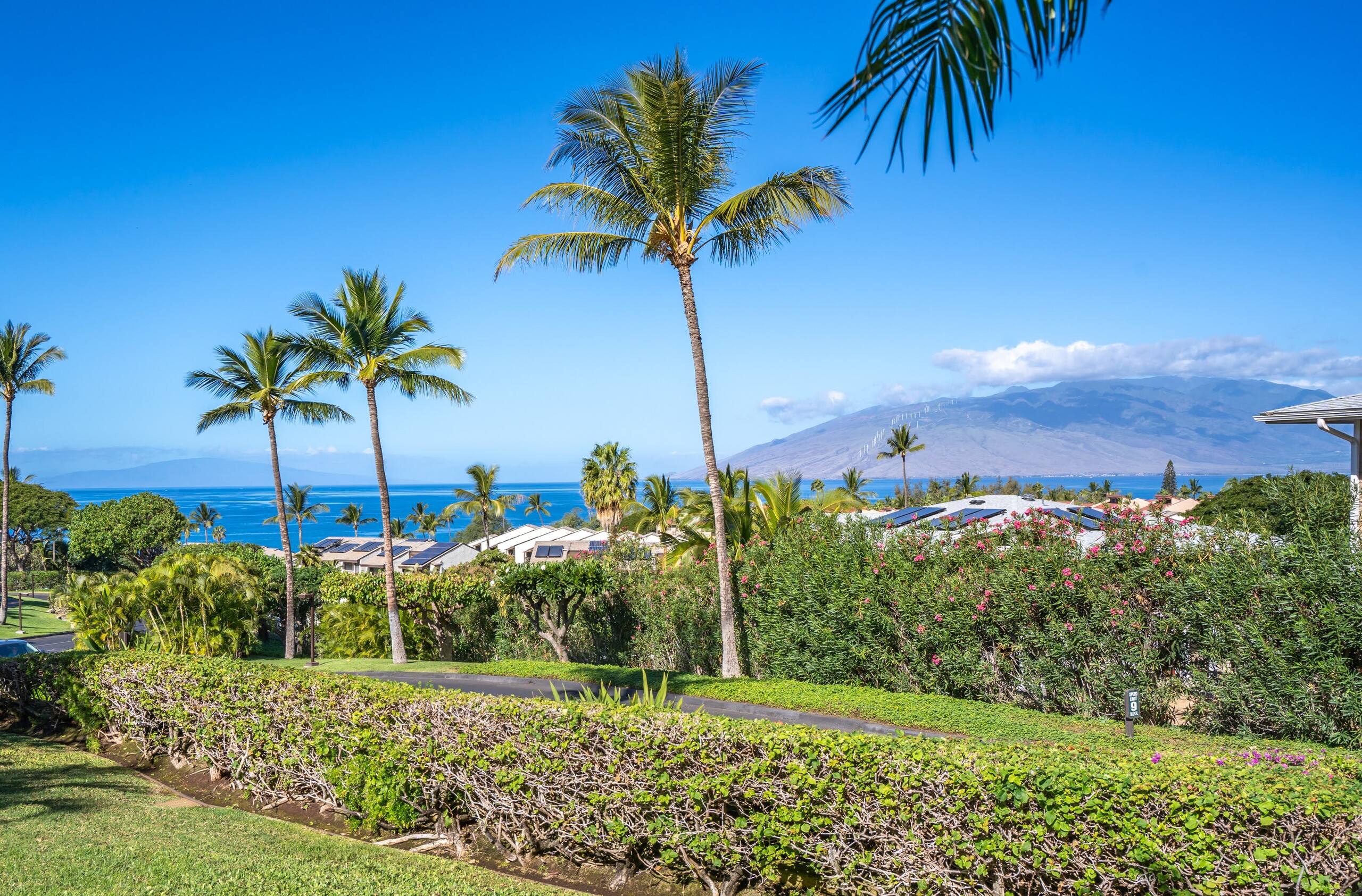 Condo in Kihei · ★5.0 · 1 bedroom · 1 bed · 2 baths - Image 37