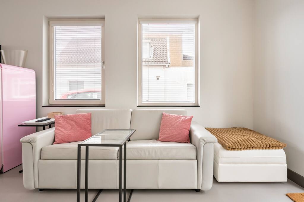 Top performing Airbnb: Vals place, free parking outside door, 100m to sea in Zeeheldenbuurt