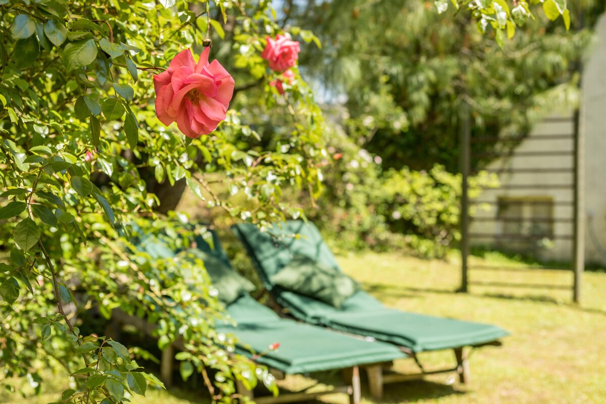 A small garden area is highlighted by green lounge chairs arranged on the grass. A flowering rose bush adds a touch of color, with vibrant pink blossoms creating a natural accent against the lush greenery surrounding the space.