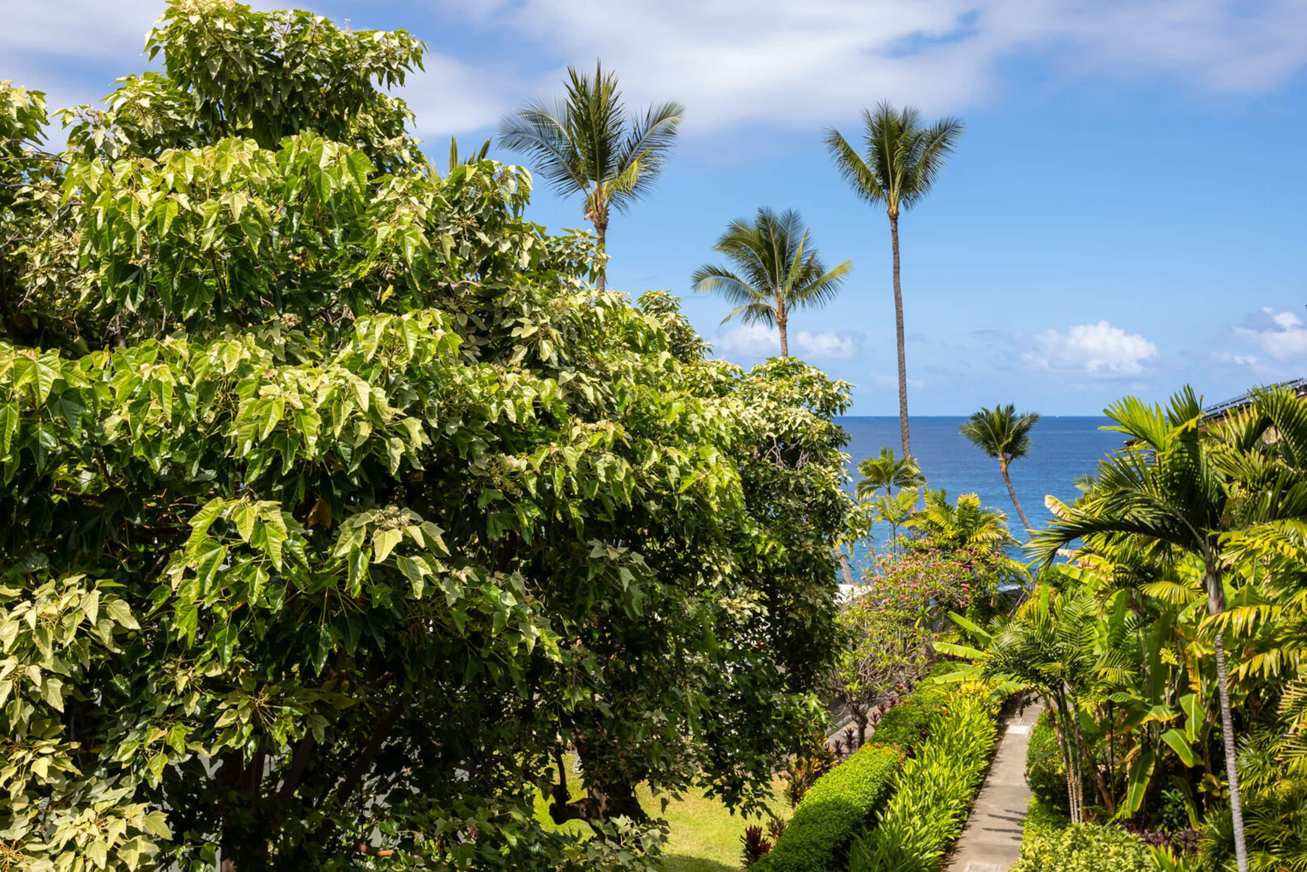 Condo in Kailua-Kona · ★4.81 · 3 bedrooms · 3 beds · 2 baths - Image 26
