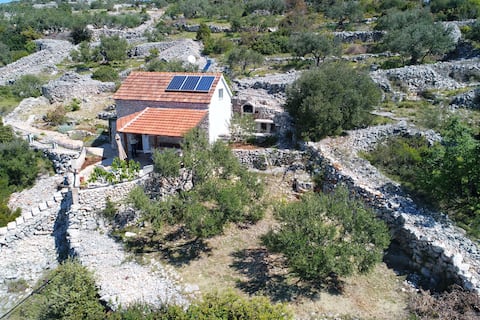 Successful Airbnb property: House Astrid ( 94000-K1 ) in Općina Tkon