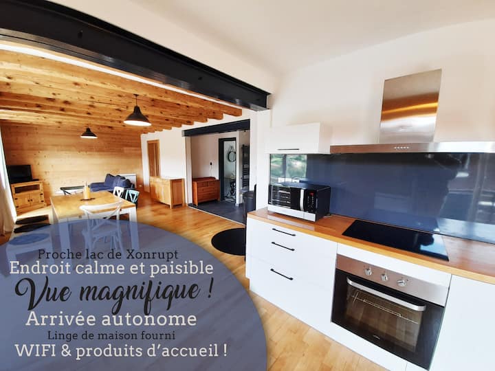 Chalet De Céleste - Vue Splendide, Garage - Vogesen