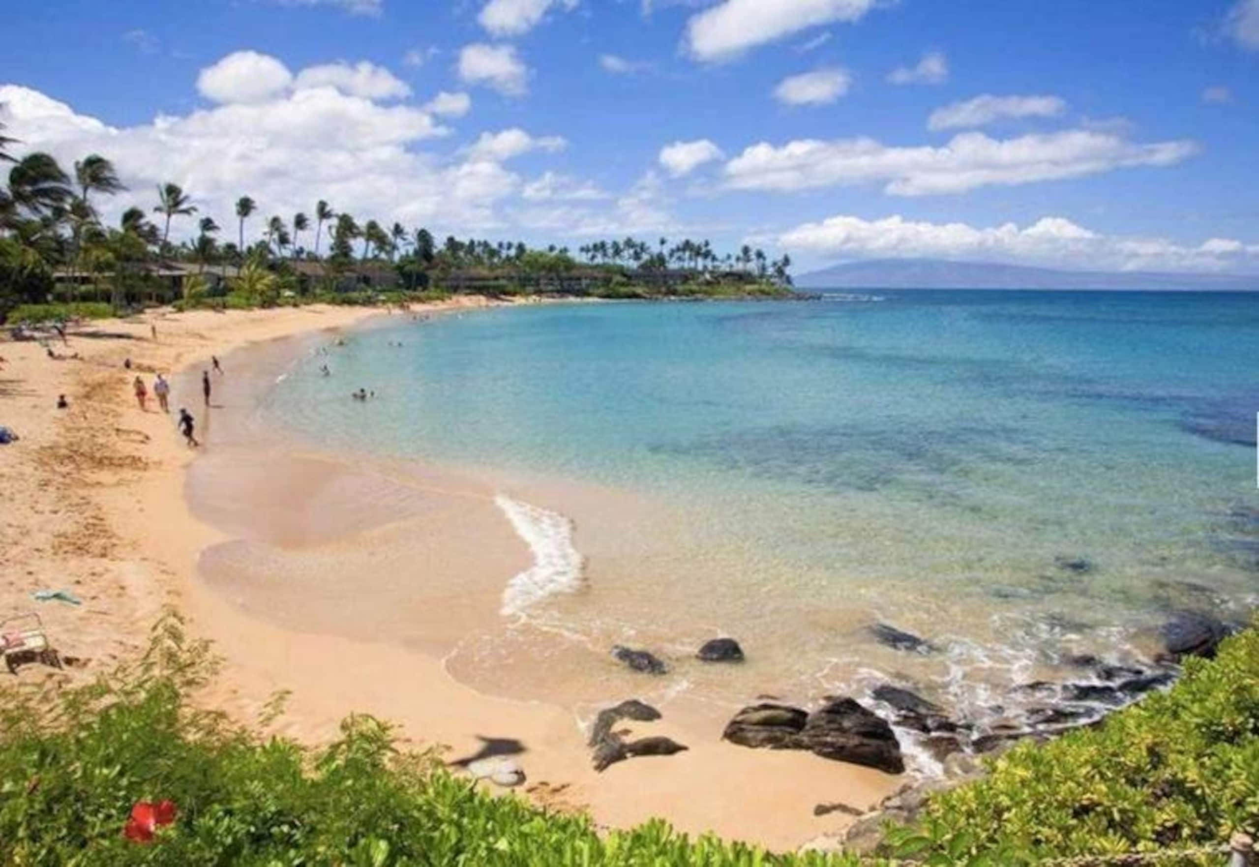 Condo in Lahaina · ★4.78 · 3 bedrooms · 4 beds · 2.5 baths - Image 34