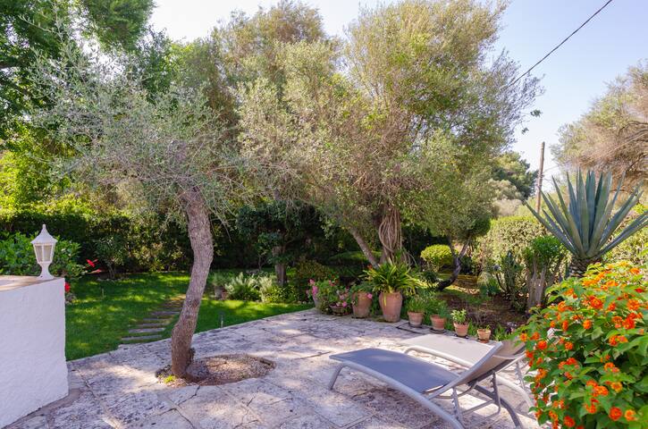 Villa Diani gallery image 5