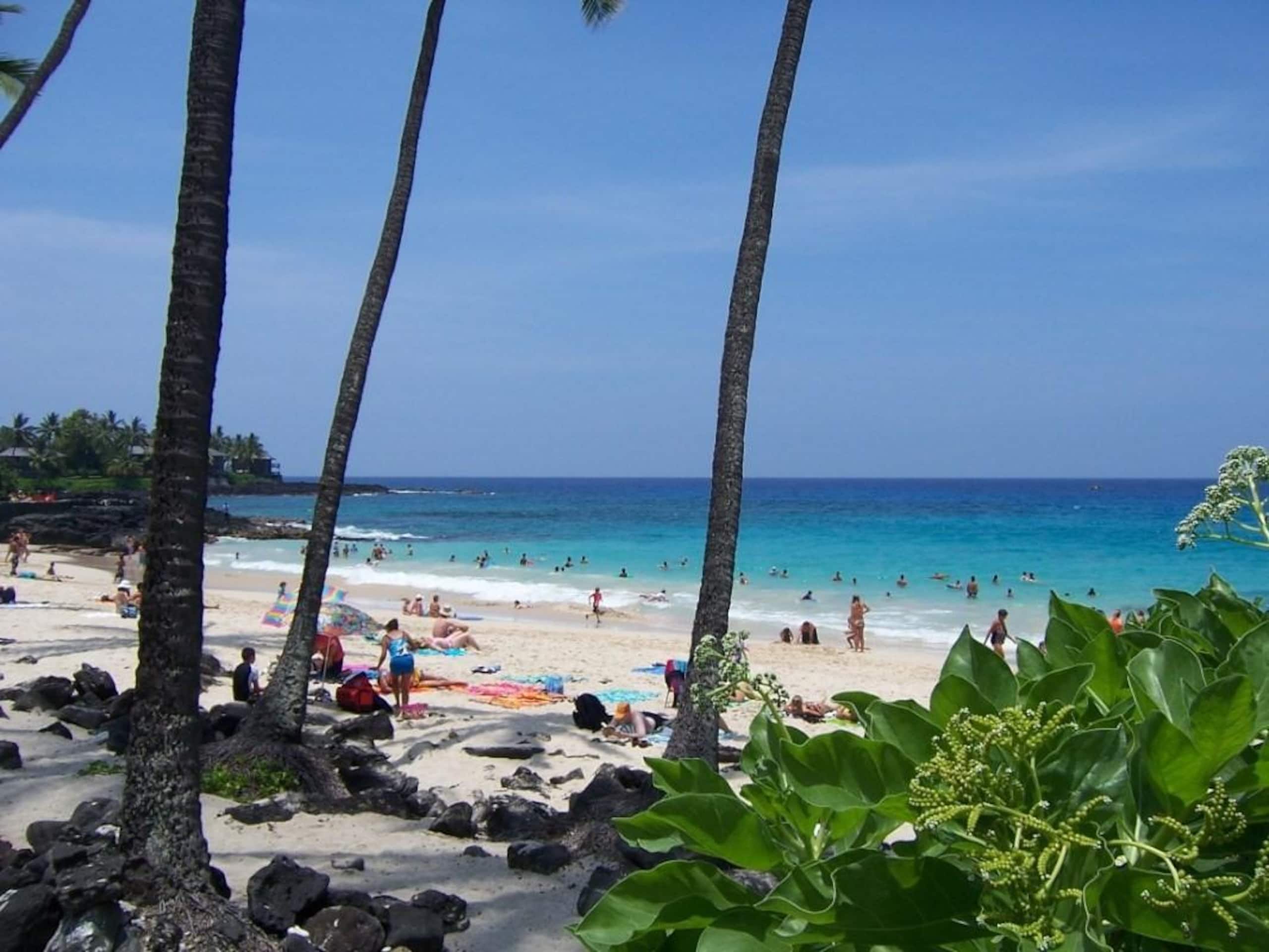 Home in Kailua-Kona · ★4.91 · 3 bedrooms · 4 beds · 2 baths - Image 3
