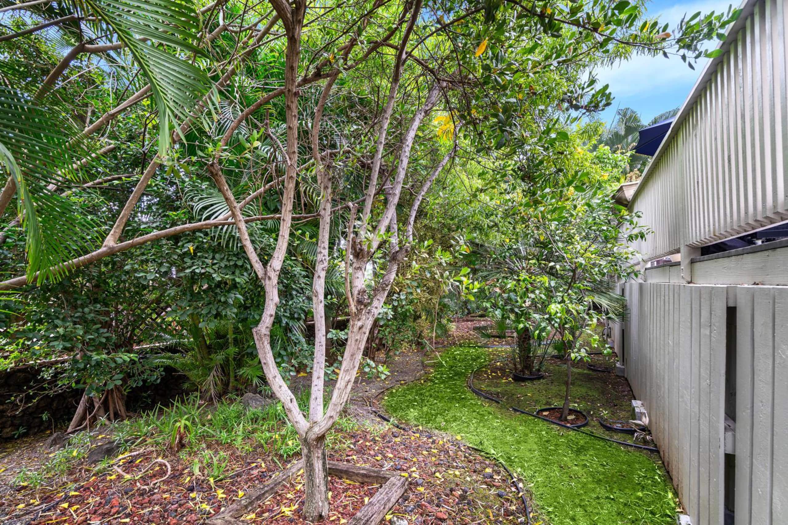 Home in Kailua-Kona · ★4.91 · 3 bedrooms · 4 beds · 2 baths - Image 53
