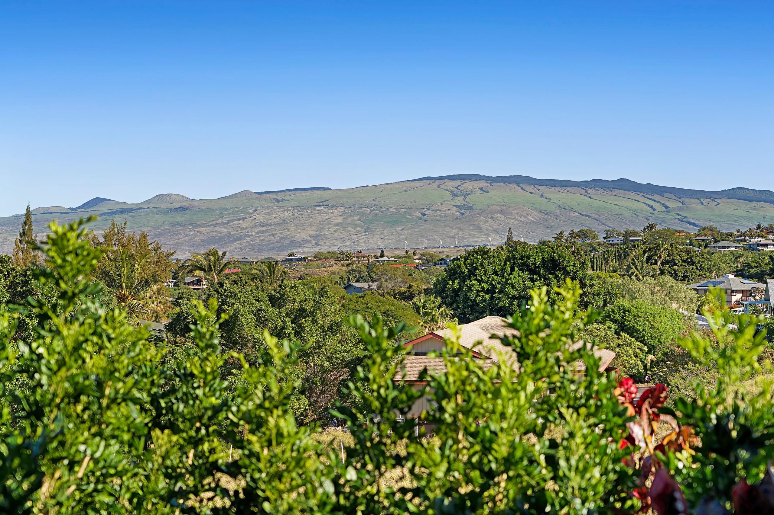 Hale O' Waikoloa- Stunning Cedar Home with Sweepi - Photo 26
