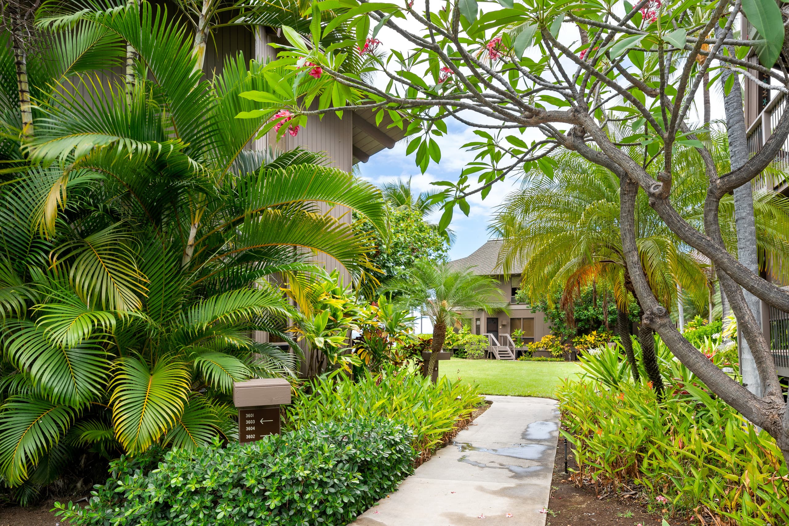 Condo in Kailua-Kona · ★4.83 · 2 bedrooms · 3 beds · 2 baths - Image 41