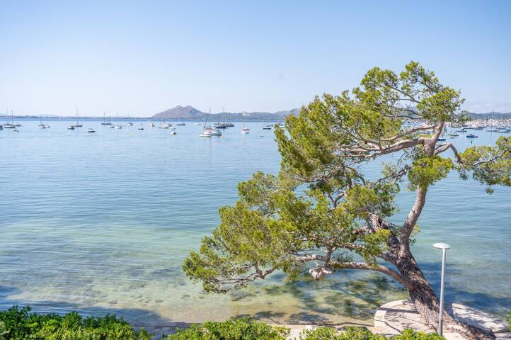 Isabela 2b-3 habitaciones con ático gallery image 5