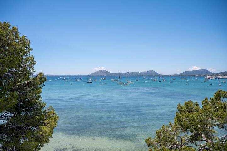 Isabela 2a 3 habitaciones con ático gallery image 3