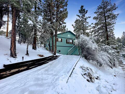 Private Modern Cabin Surrounded by Pines w/ Views