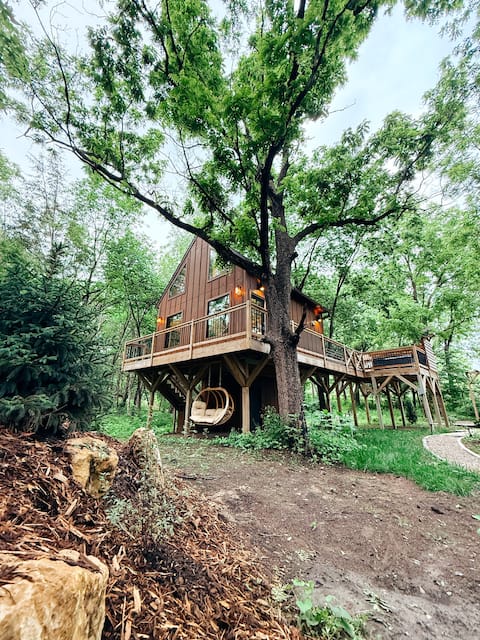 Pepin Forest Treehouse