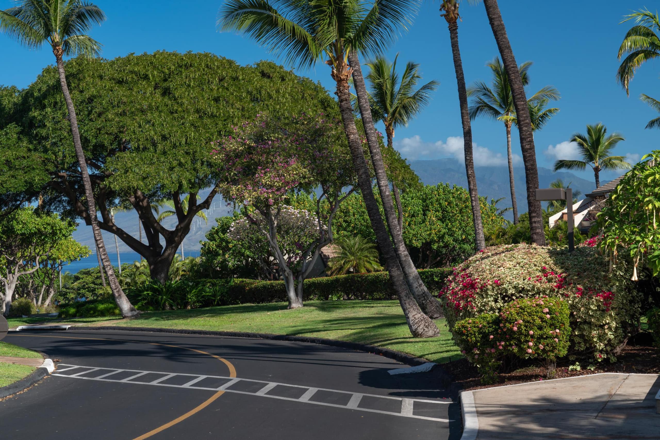 Condo in Kihei · ★4.93 · 2 bedrooms · 2 beds · 2 private baths - Image 60