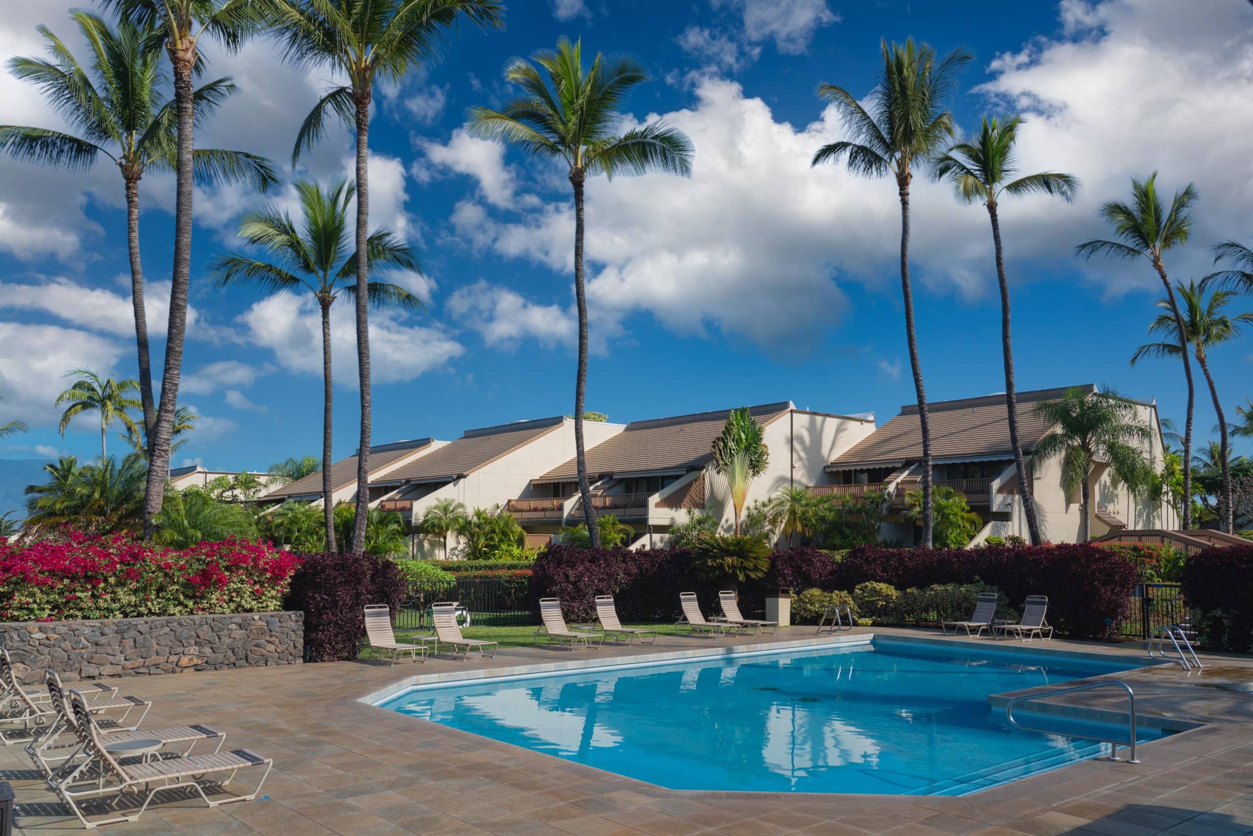 Condo in Kihei · ★4.93 · 2 bedrooms · 2 beds · 2 private baths - Image 61