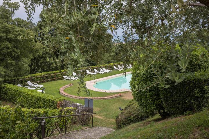 Pet-Friendly Apartment