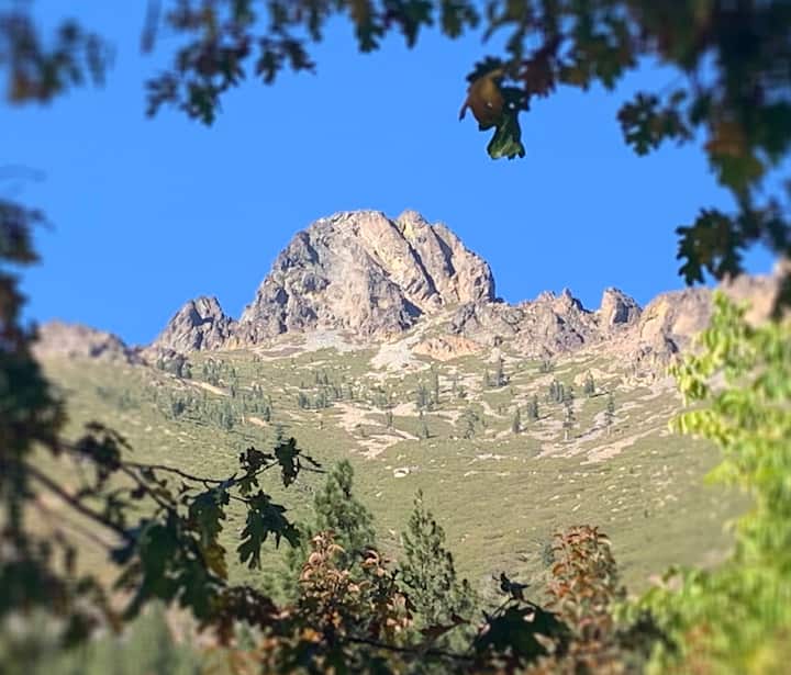 Downieville Vacation Rentals Airbnb