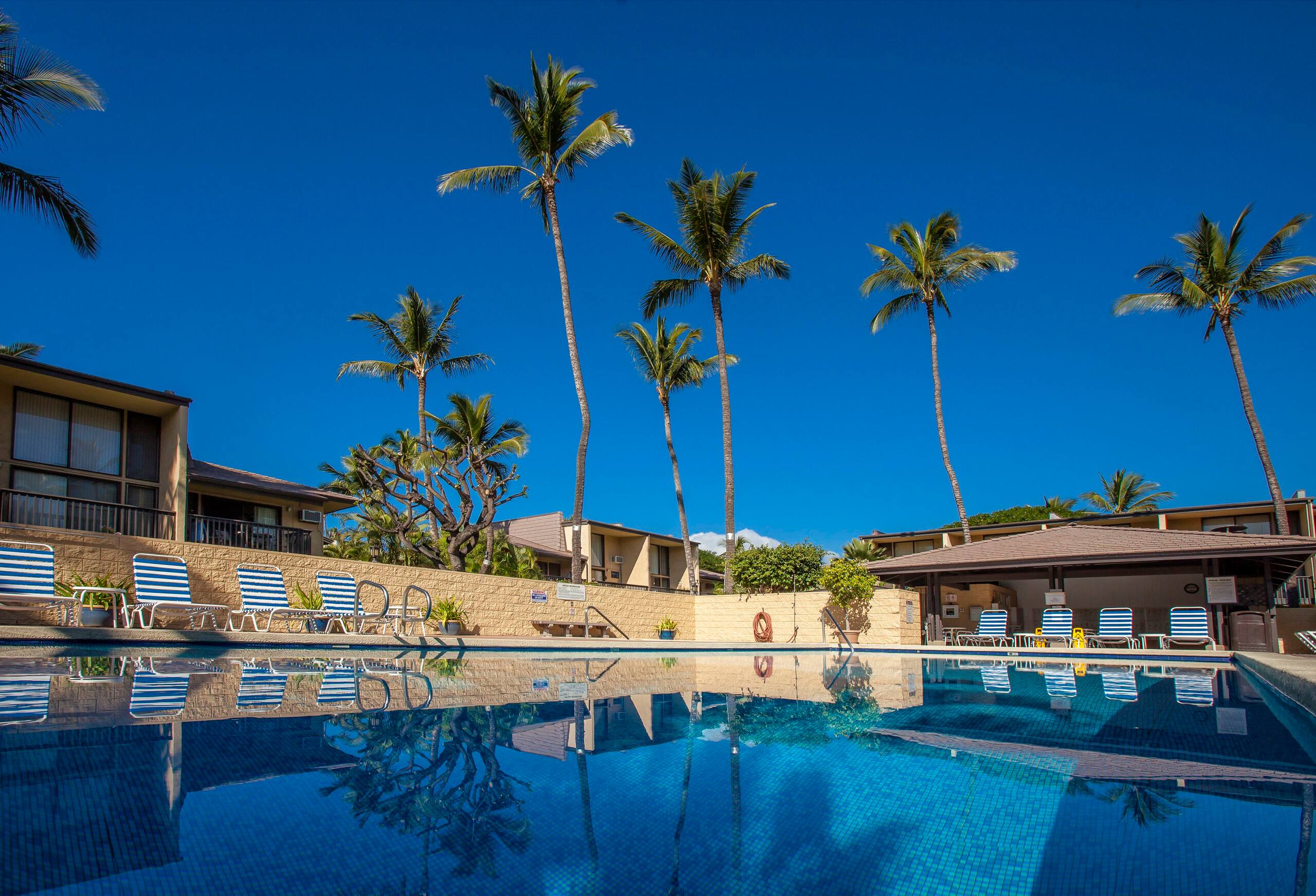 Condo in Kihei · ★4.94 · 1 bedroom · 1 bed · 1 private bath - Image 24