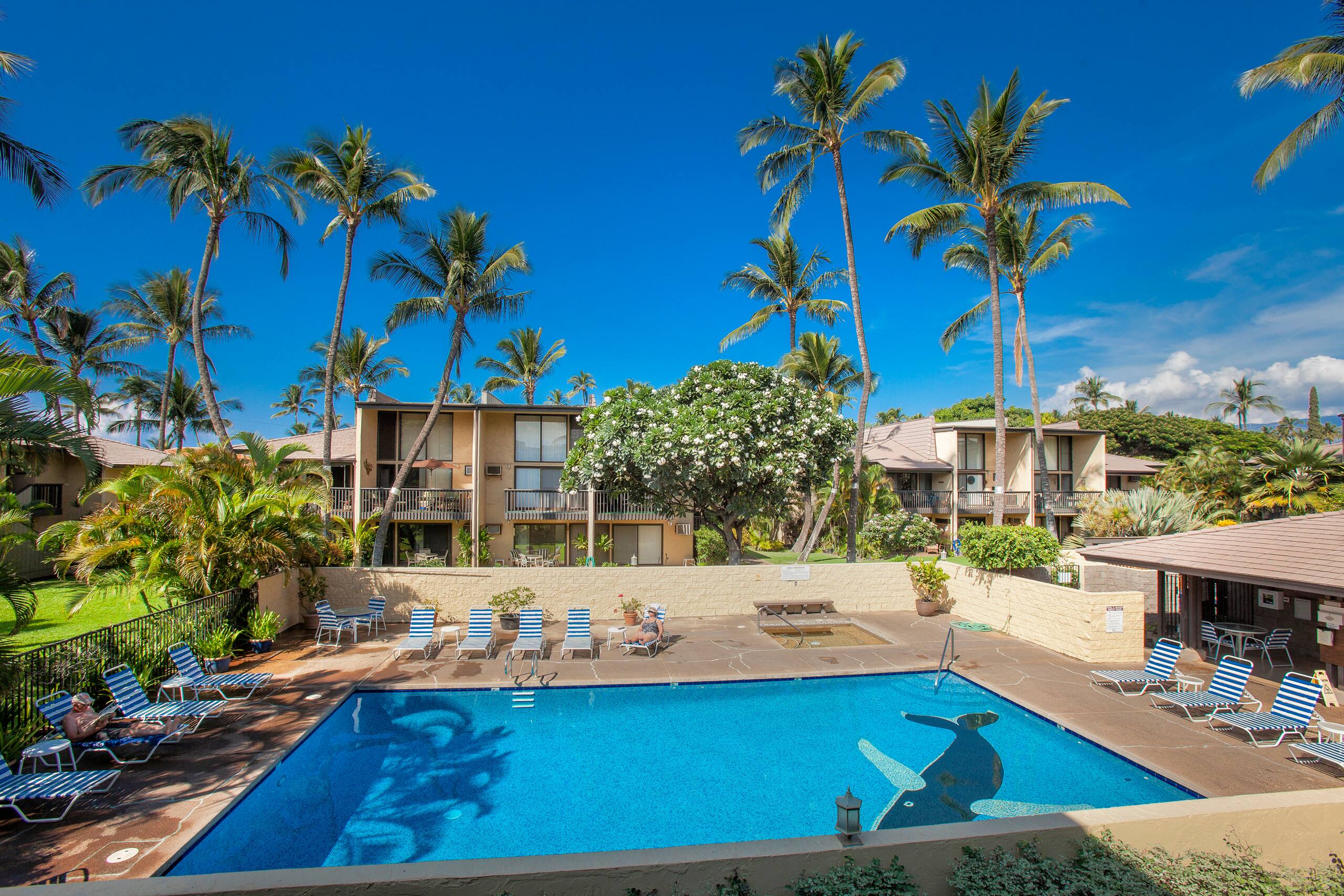 Condo in Kihei · ★4.94 · 1 bedroom · 1 bed · 1 private bath - Image 27