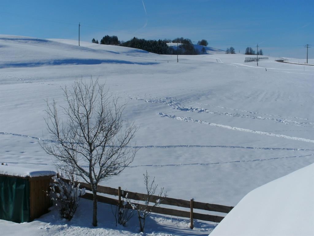 A snow-covered landscape is depicted, featuring a vast expanse of white terrain under a clear blue sky. A wooden fence outlines a section of the property, while a few bare trees are visible in the foreground. Distant hills create a serene backdrop.