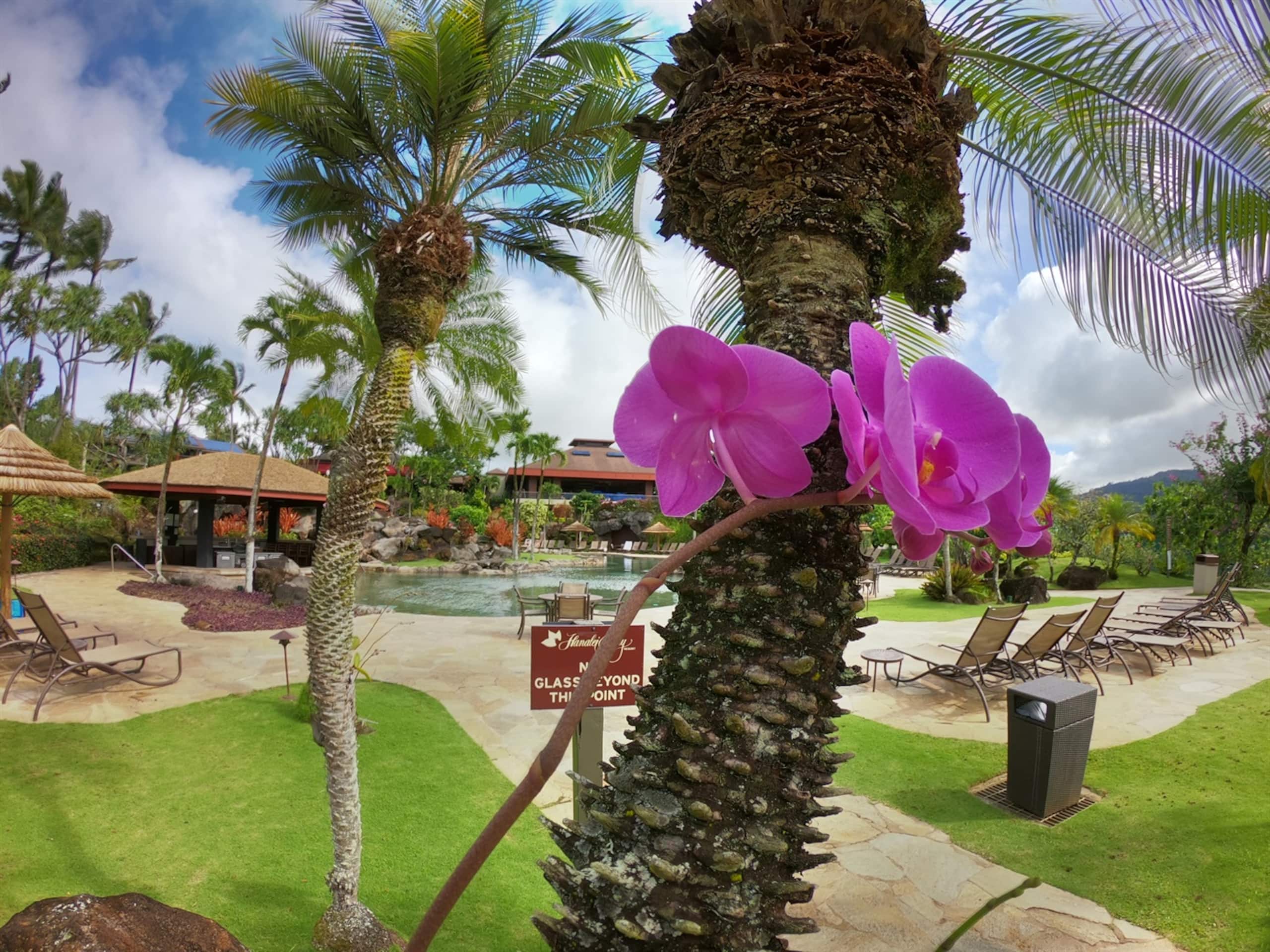 Ocean and Bali Hai view. Cold AC Private Lanai - Photo 5