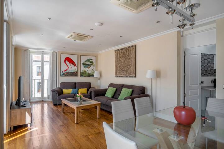 Bright with 7 balconies- 3 BDR + 2BTH -Plaza Mayor