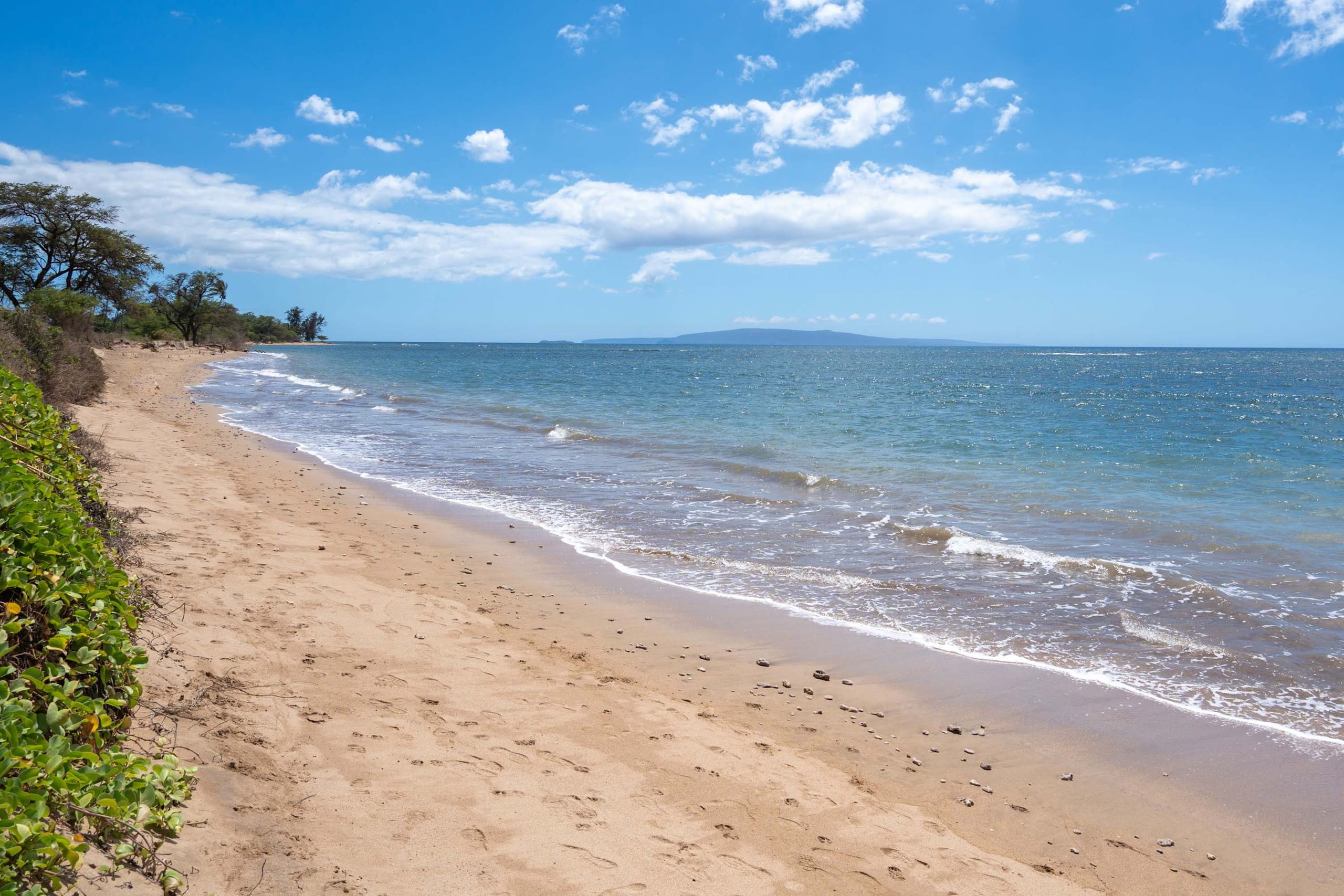 Condo in Kihei · ★4.93 · 2 bedrooms · 3 beds · 2 baths - Image 89