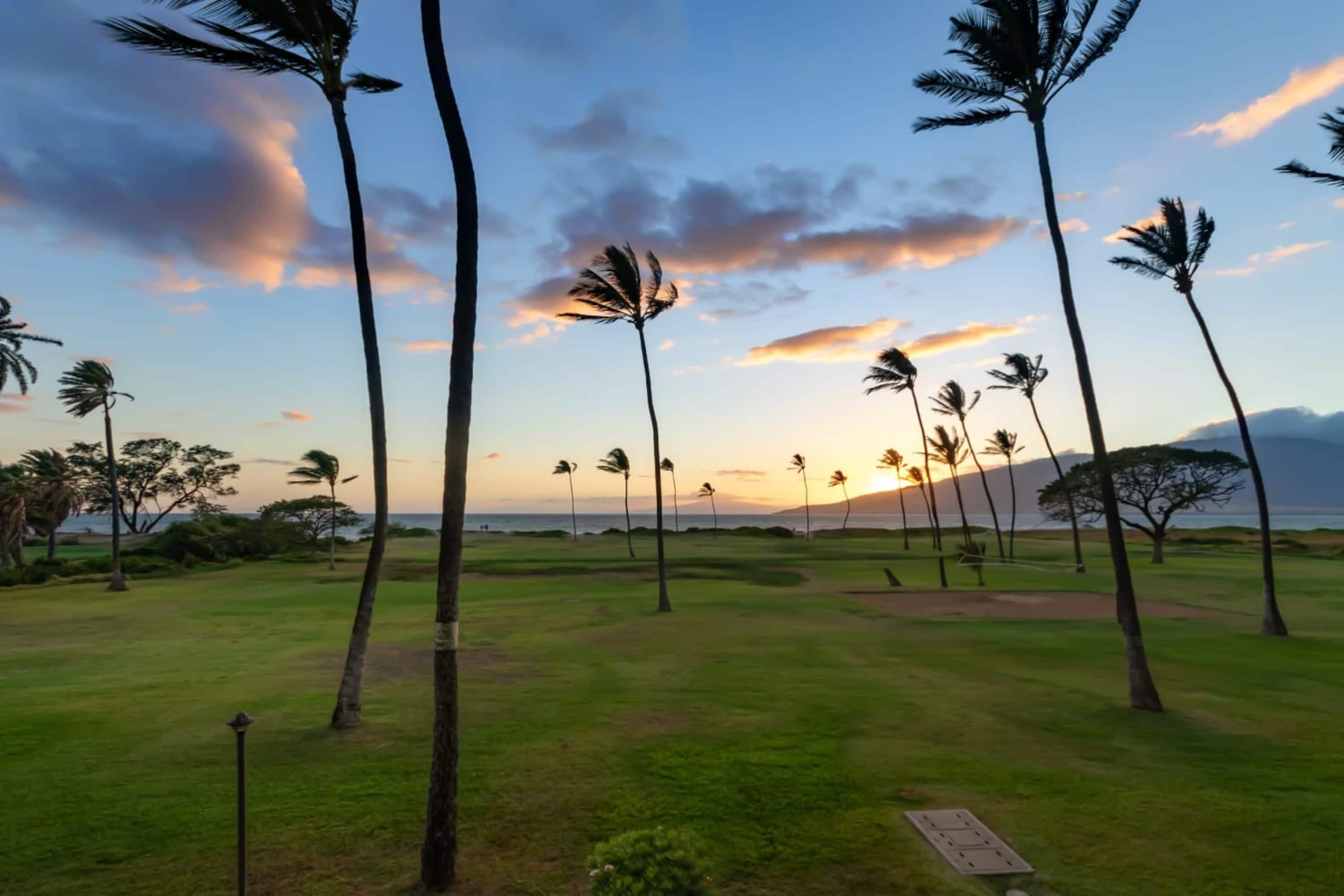 Condo in Kihei · ★4.93 · 2 bedrooms · 3 beds · 2 baths - Image 81