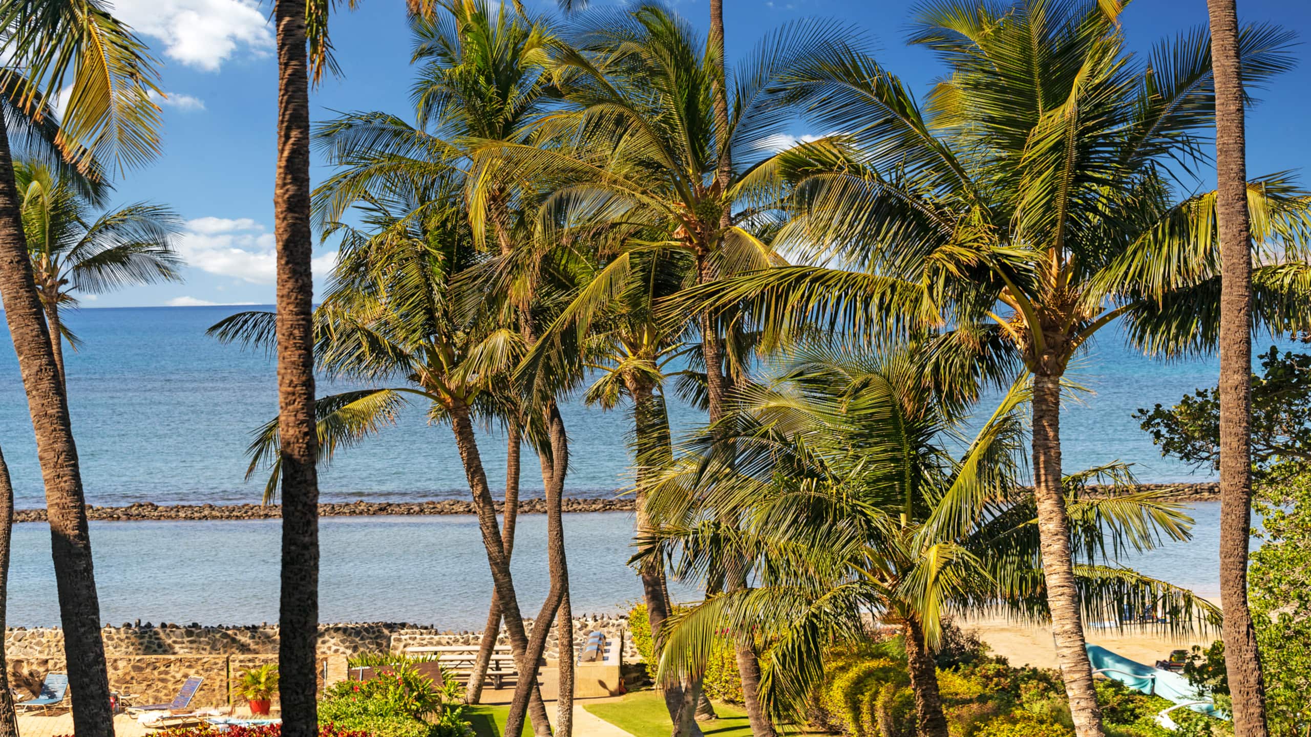 Condo in Kihei · ★4.42 · 2 bedrooms · 3 beds · 2 private baths - Image 25